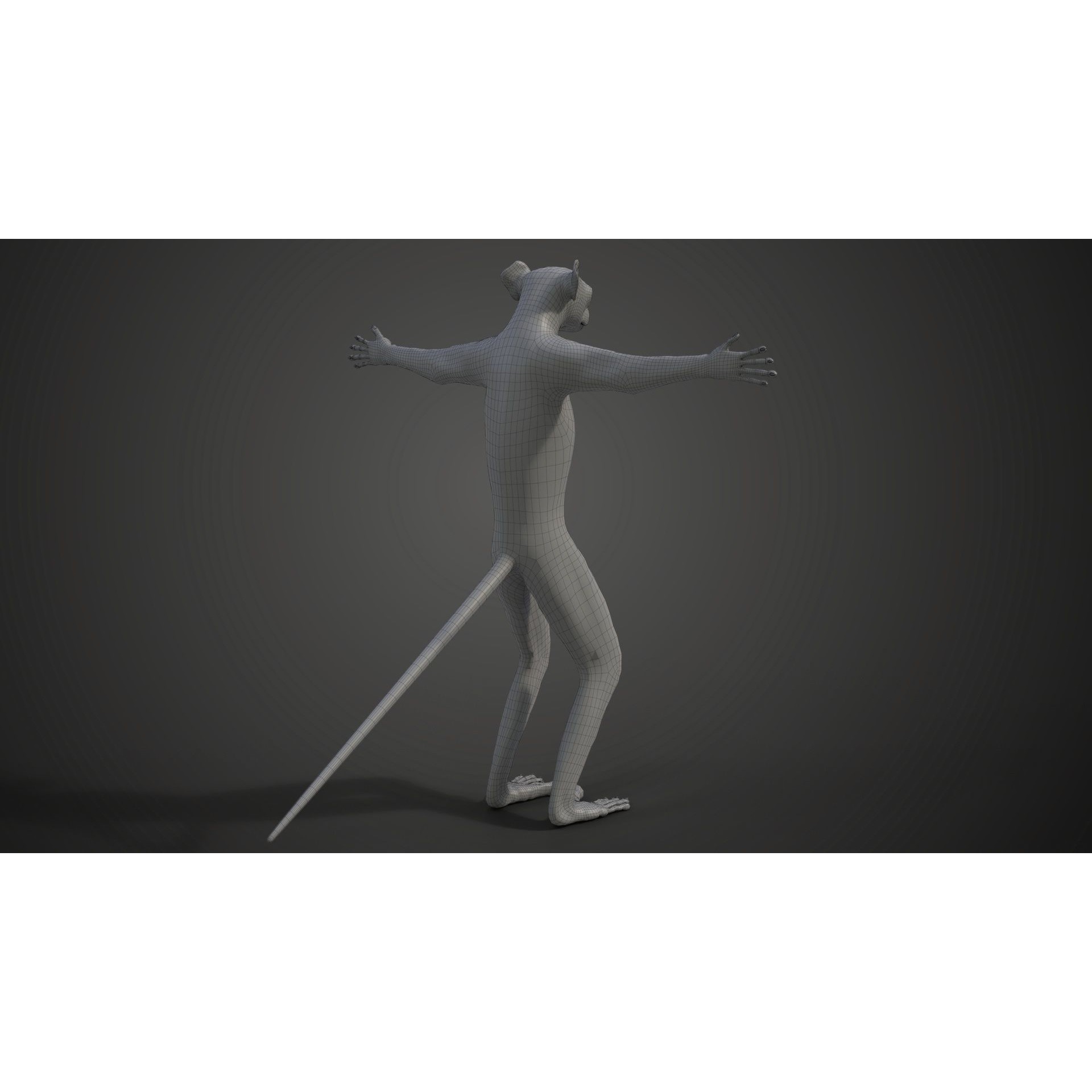 Baby White Sifaka 3D Model – Rigged, High Poly, Blender - View 3