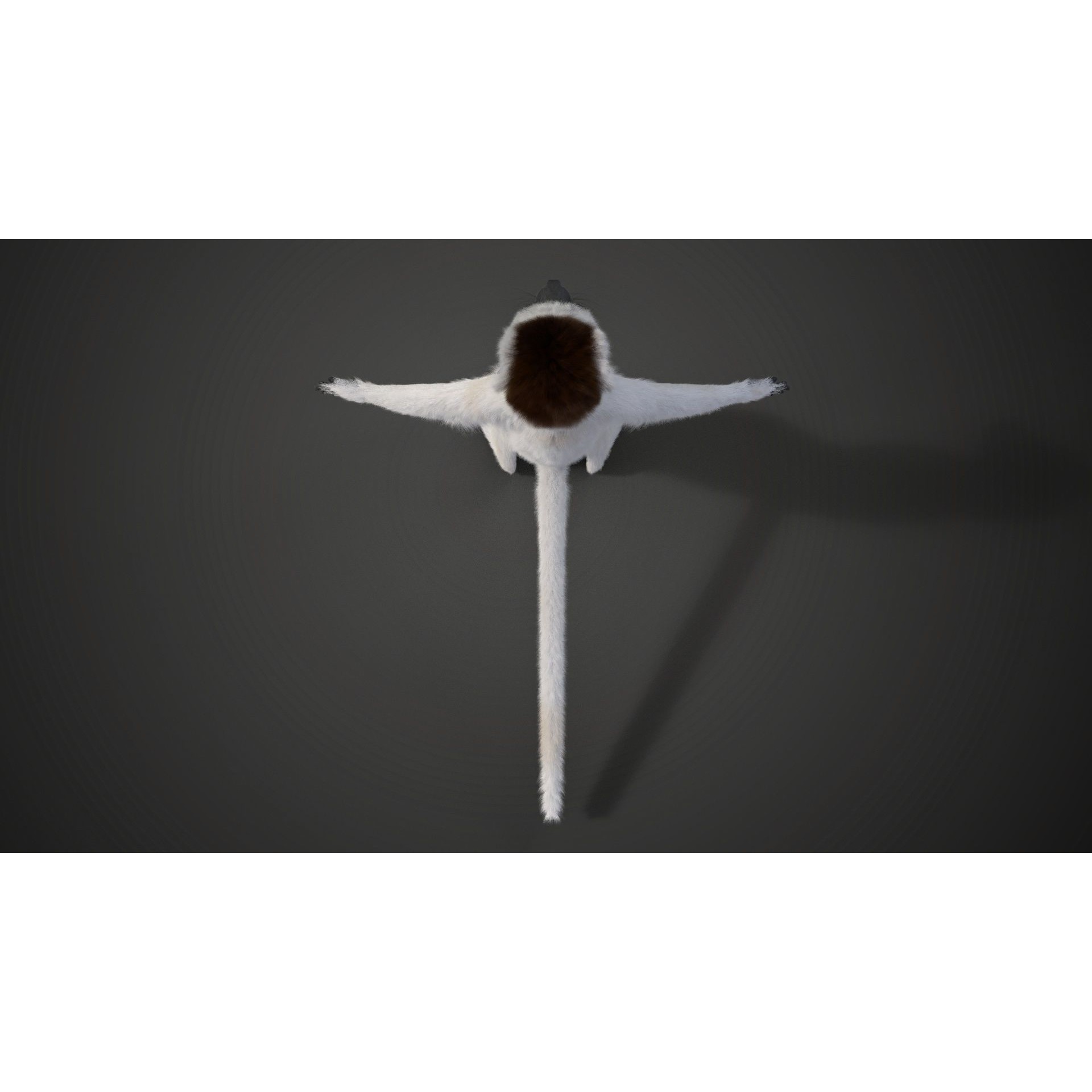 Baby White Sifaka 3D Model – Rigged, High Poly, Blender - View 8