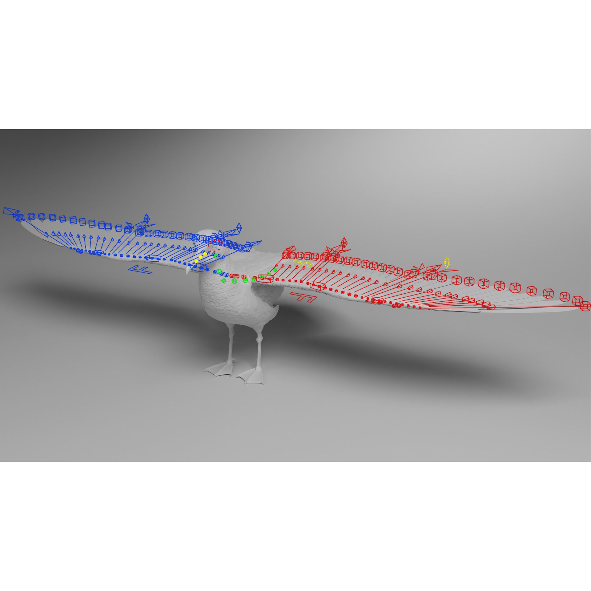 Seagull 3D Model – Realistic Rigged Animation with Feather Details - View 17