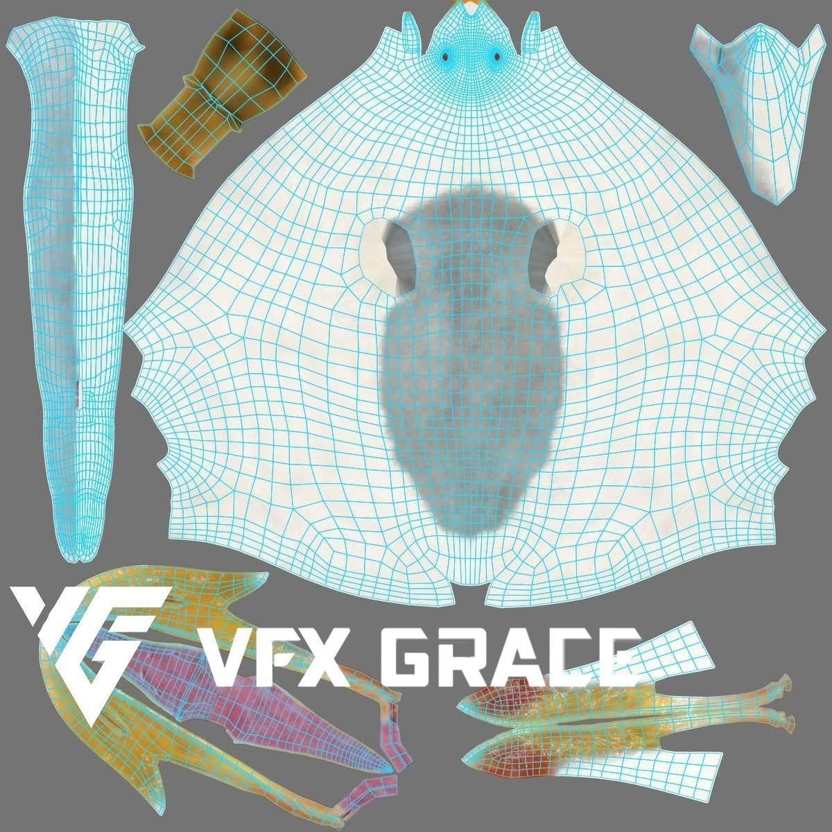 Seagull 3D Model – Realistic Rigged Animation with Feather Details - View 19