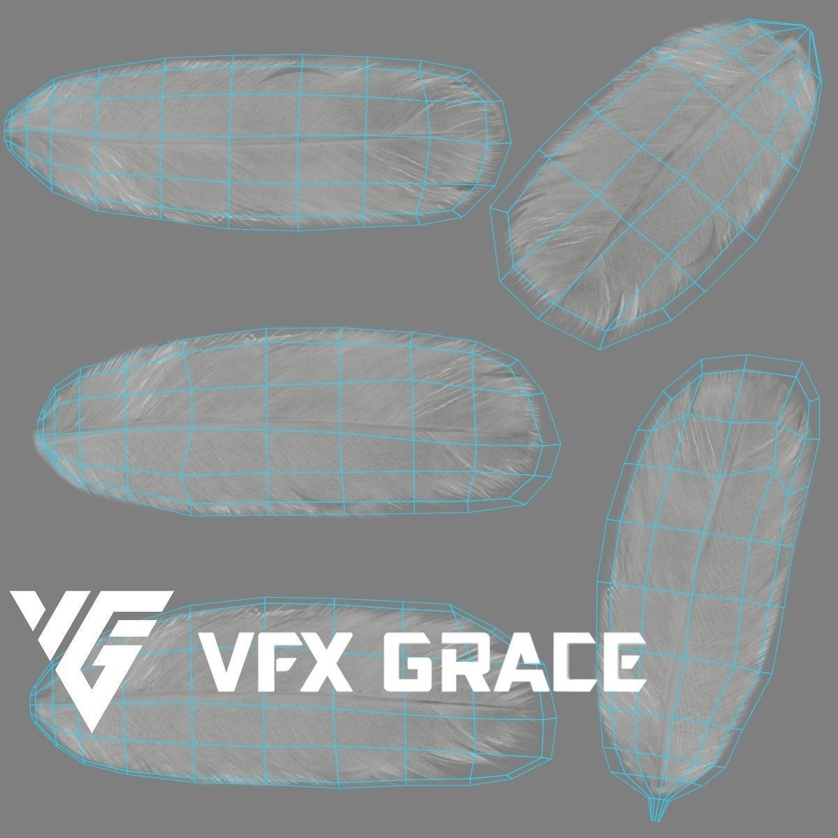 Seagull 3D Model – Realistic Rigged Animation with Feather Details - View 21