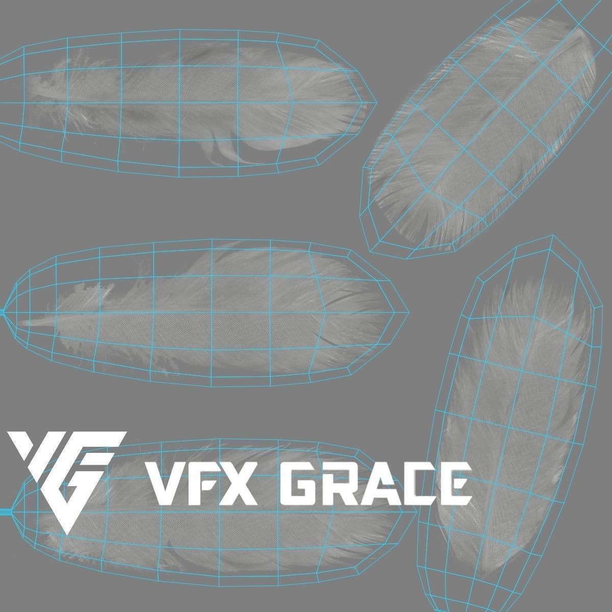 Seagull 3D Model – Realistic Rigged Animation with Feather Details - View 22