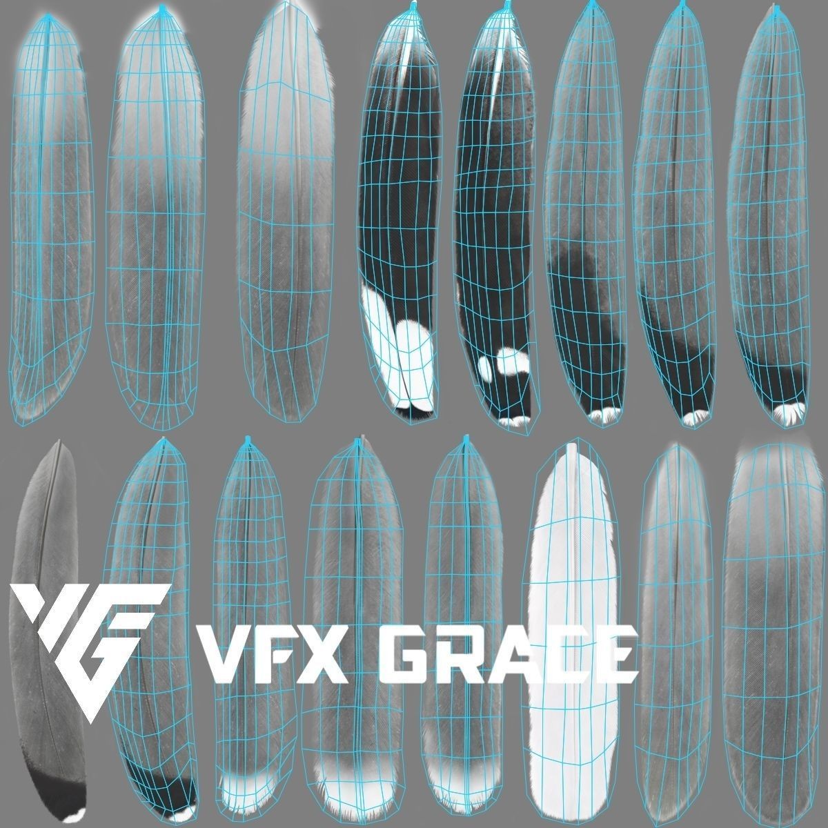 Seagull 3D Model – Realistic Rigged Animation with Feather Details - View 23