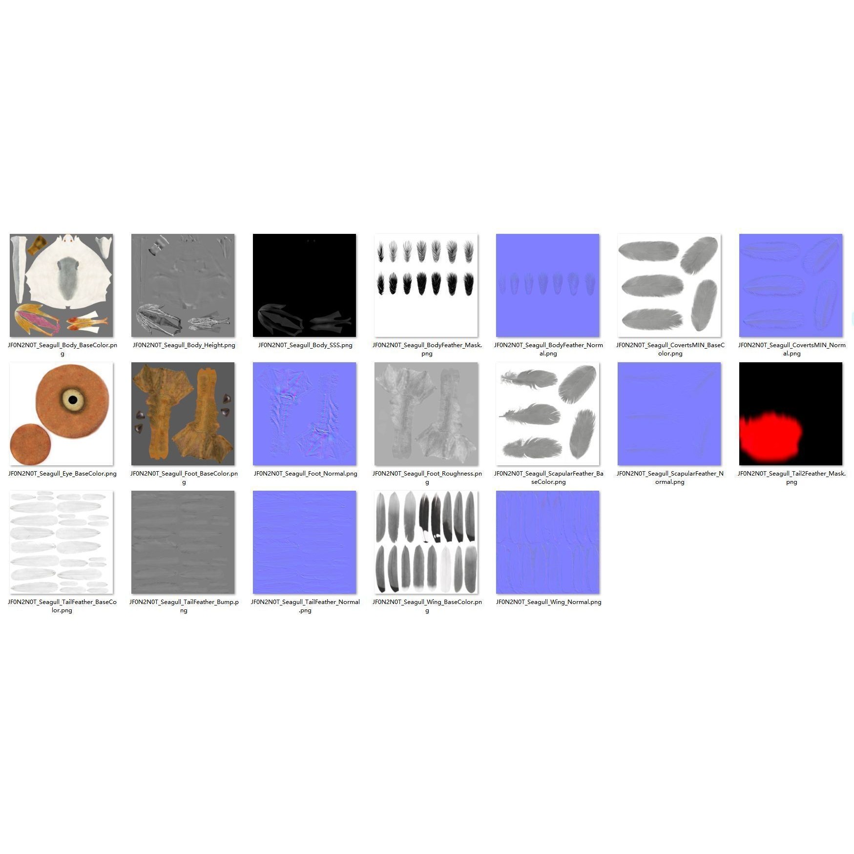 Seagull 3D Model – Realistic Rigged Animation with Feather Details - View 25