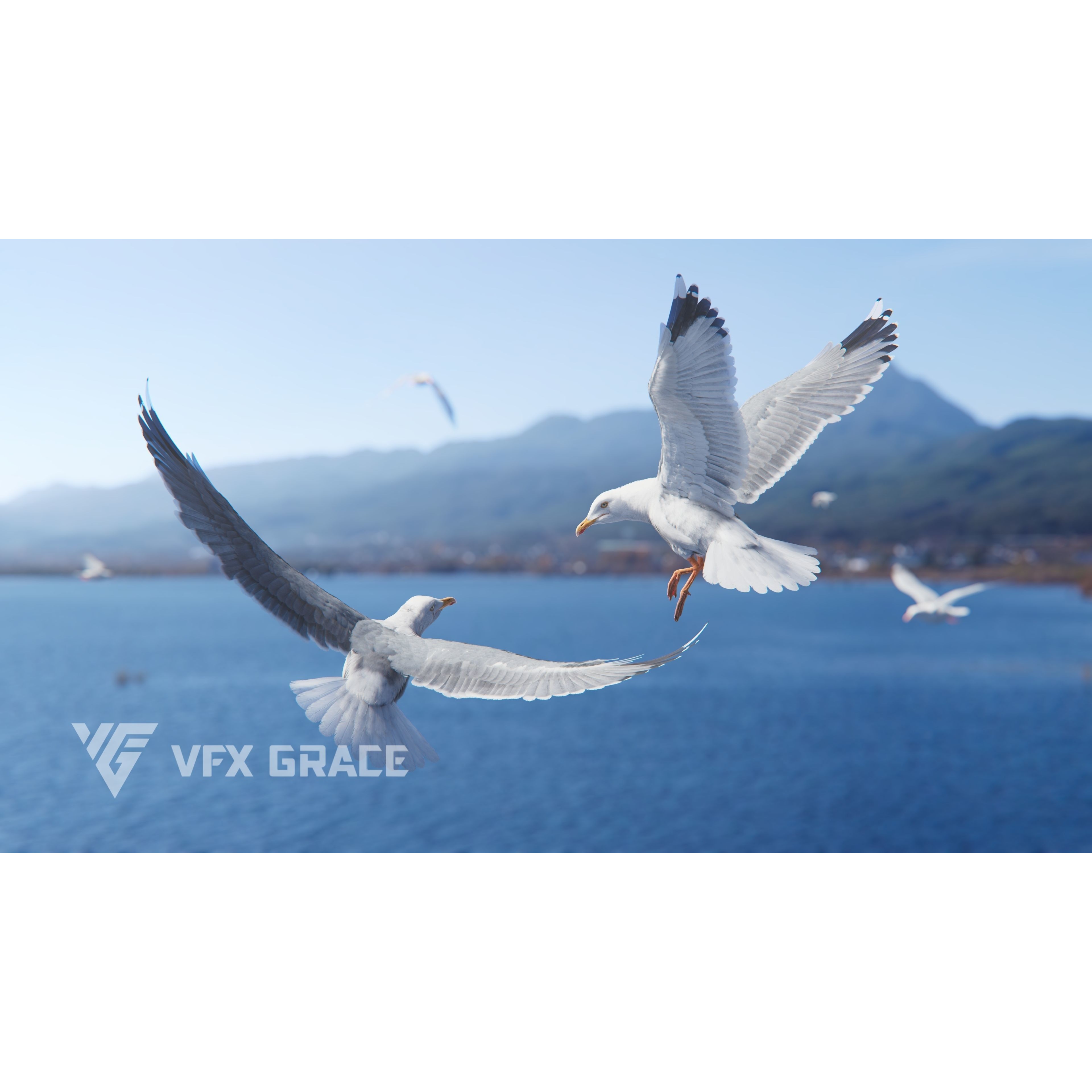 Seagull 3D Model – Realistic Rigged Animation with Feather Details - View 3