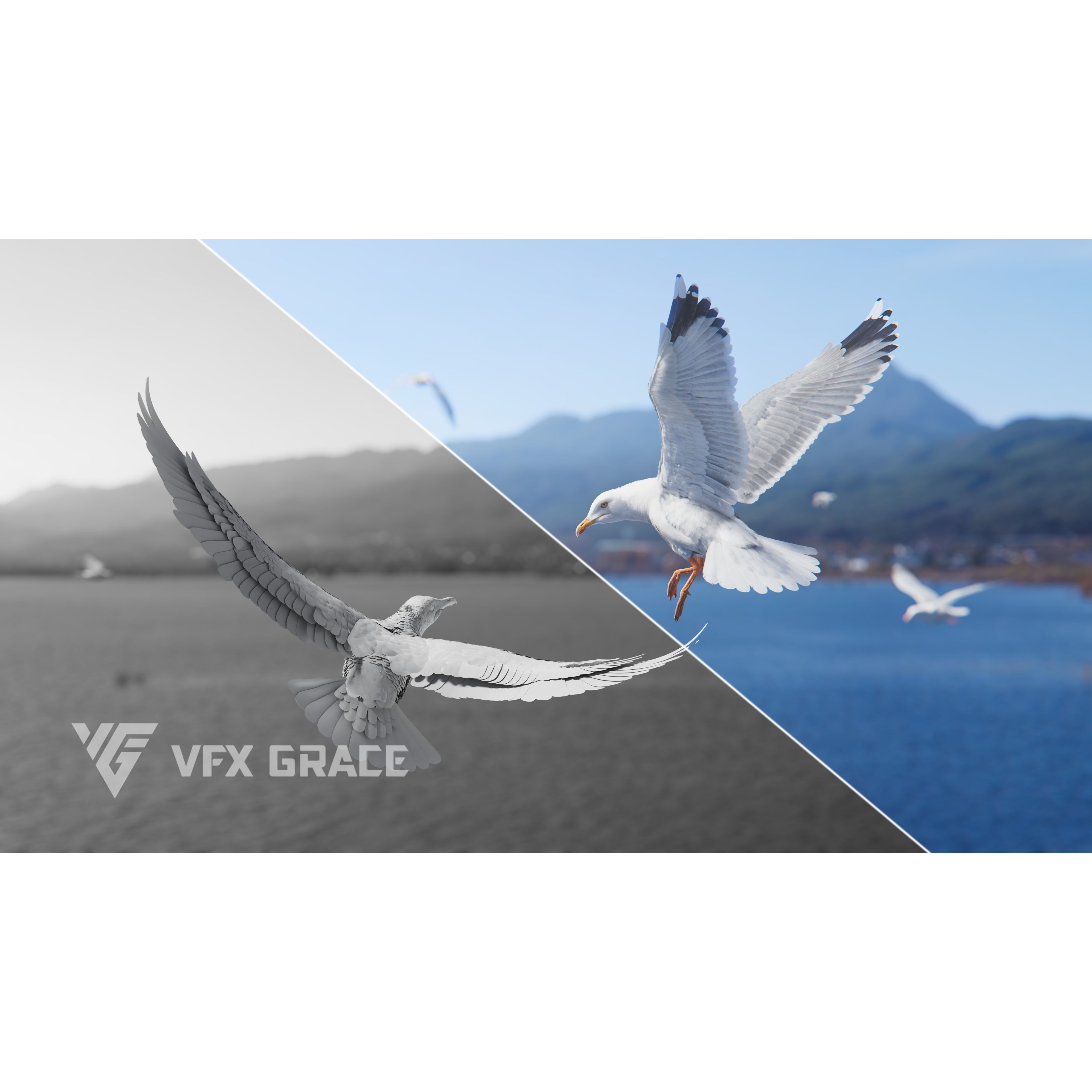 Seagull 3D Model – Realistic Rigged Animation with Feather Details - View 4