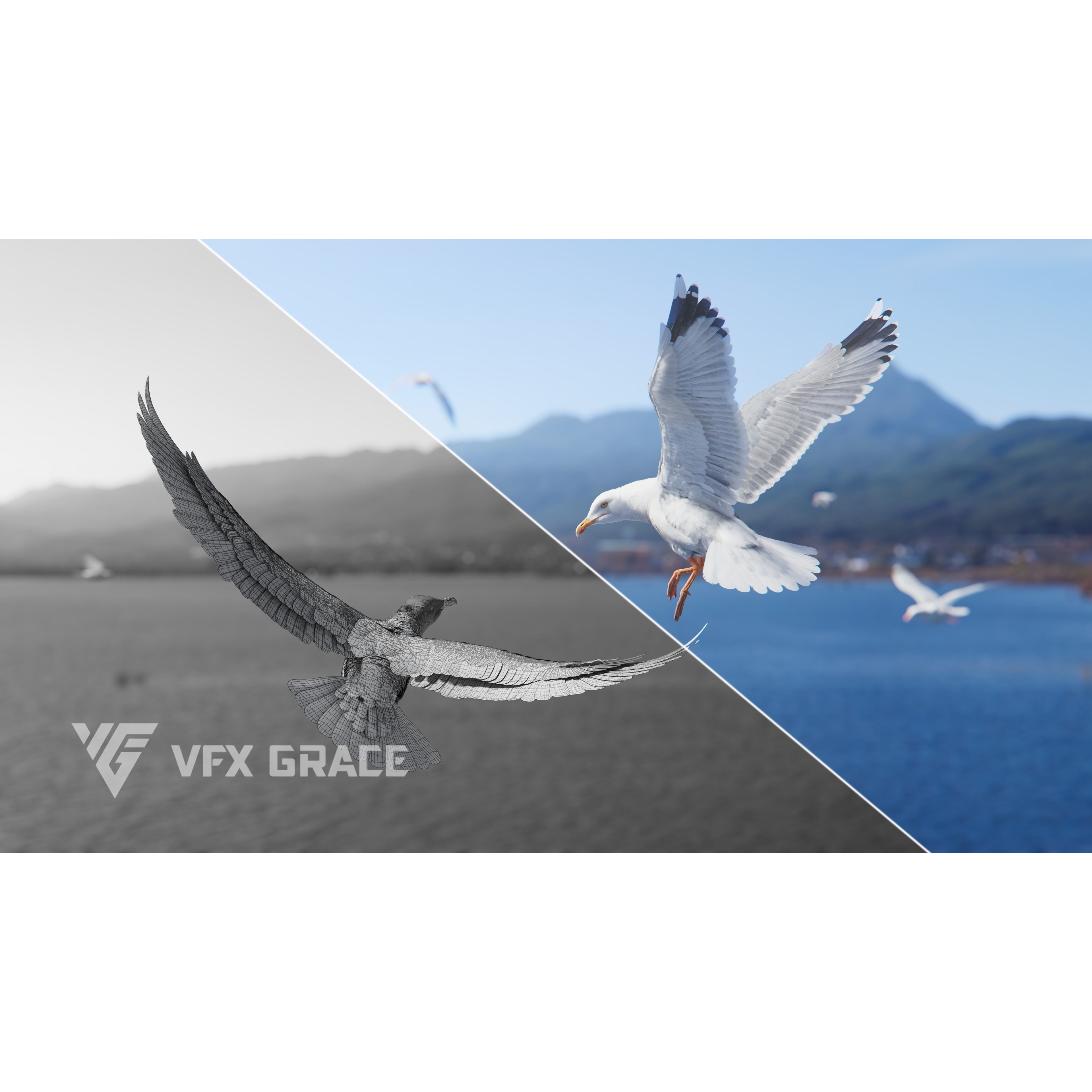 Seagull 3D Model – Realistic Rigged Animation with Feather Details - View 5