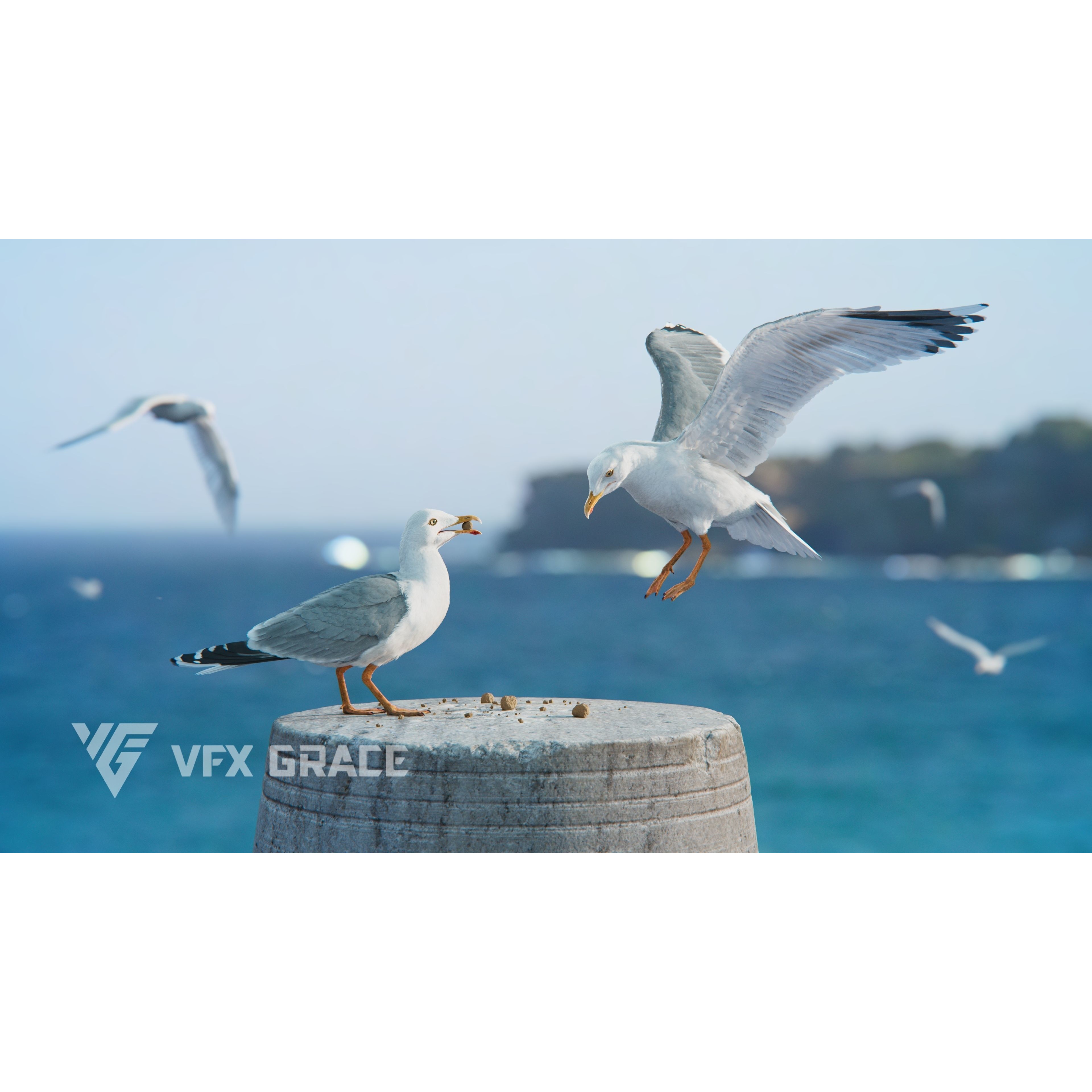 Seagull 3D Model – Realistic Rigged Animation with Feather Details - View 6