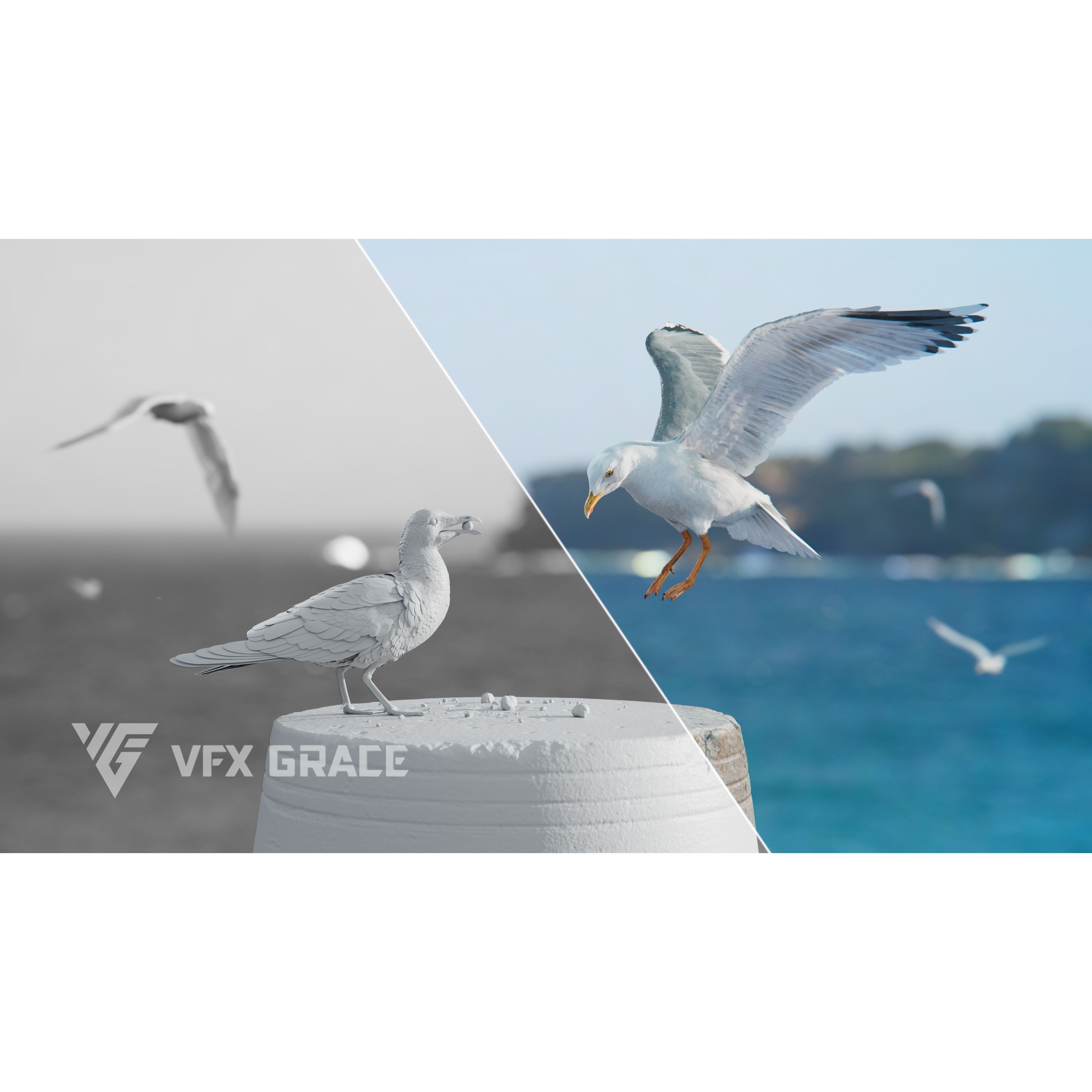 Seagull 3D Model – Realistic Rigged Animation with Feather Details - View 7