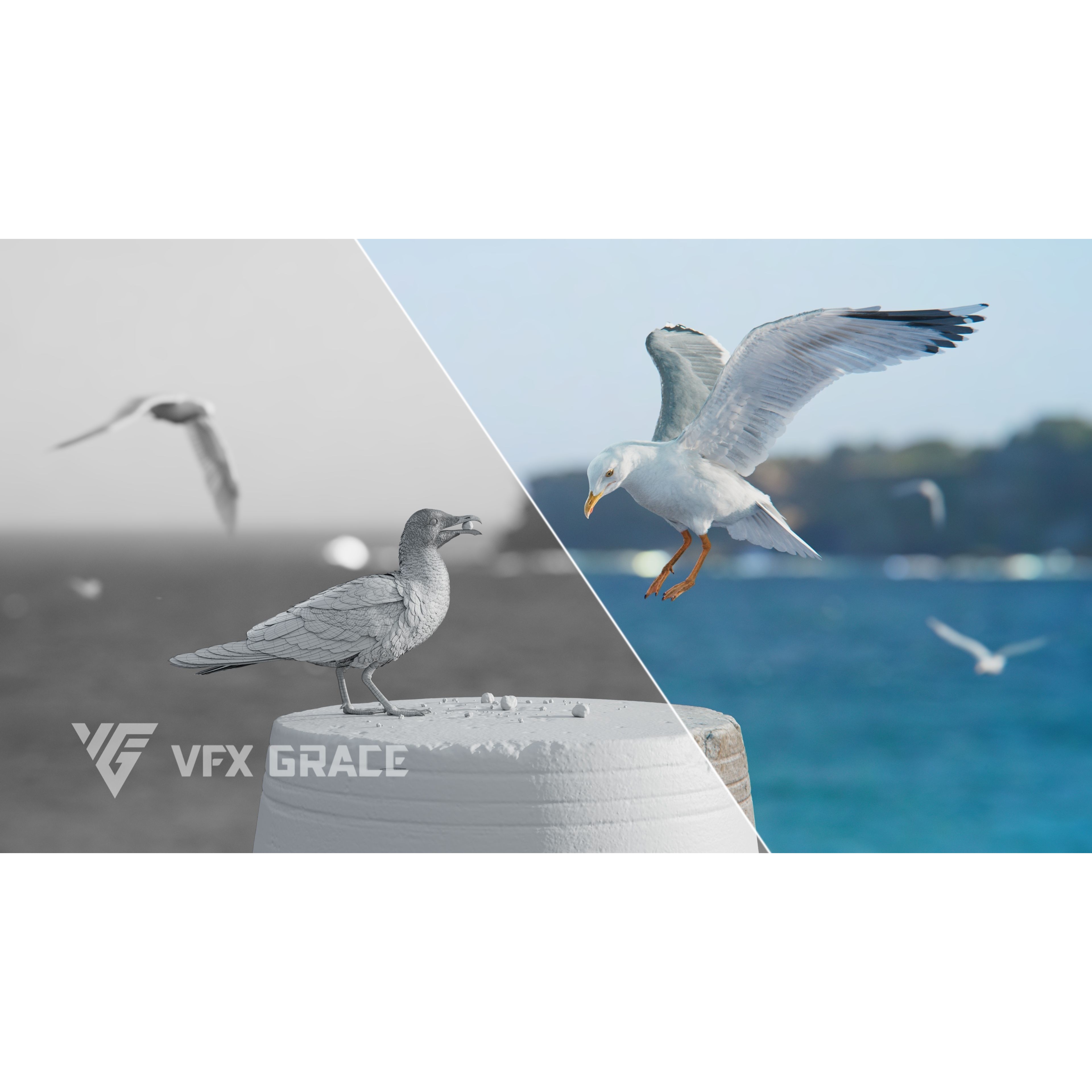 Seagull 3D Model – Realistic Rigged Animation with Feather Details - View 8