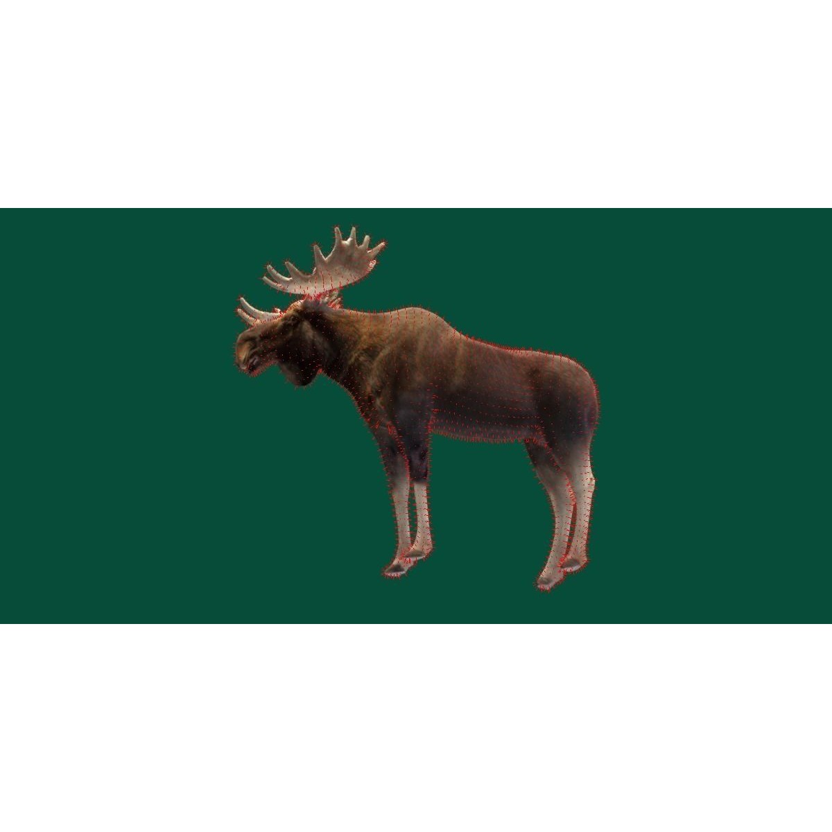 Eurasian Elk Moose 3D Model – Low Poly Game Asset, FBX, PBR Textures - View 14