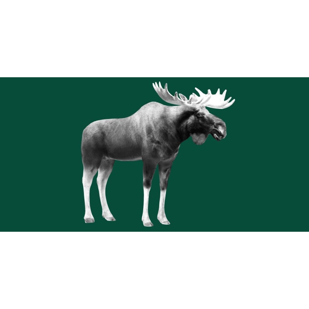 Eurasian Elk Moose 3D Model – Low Poly Game Asset, FBX, PBR Textures - View 25