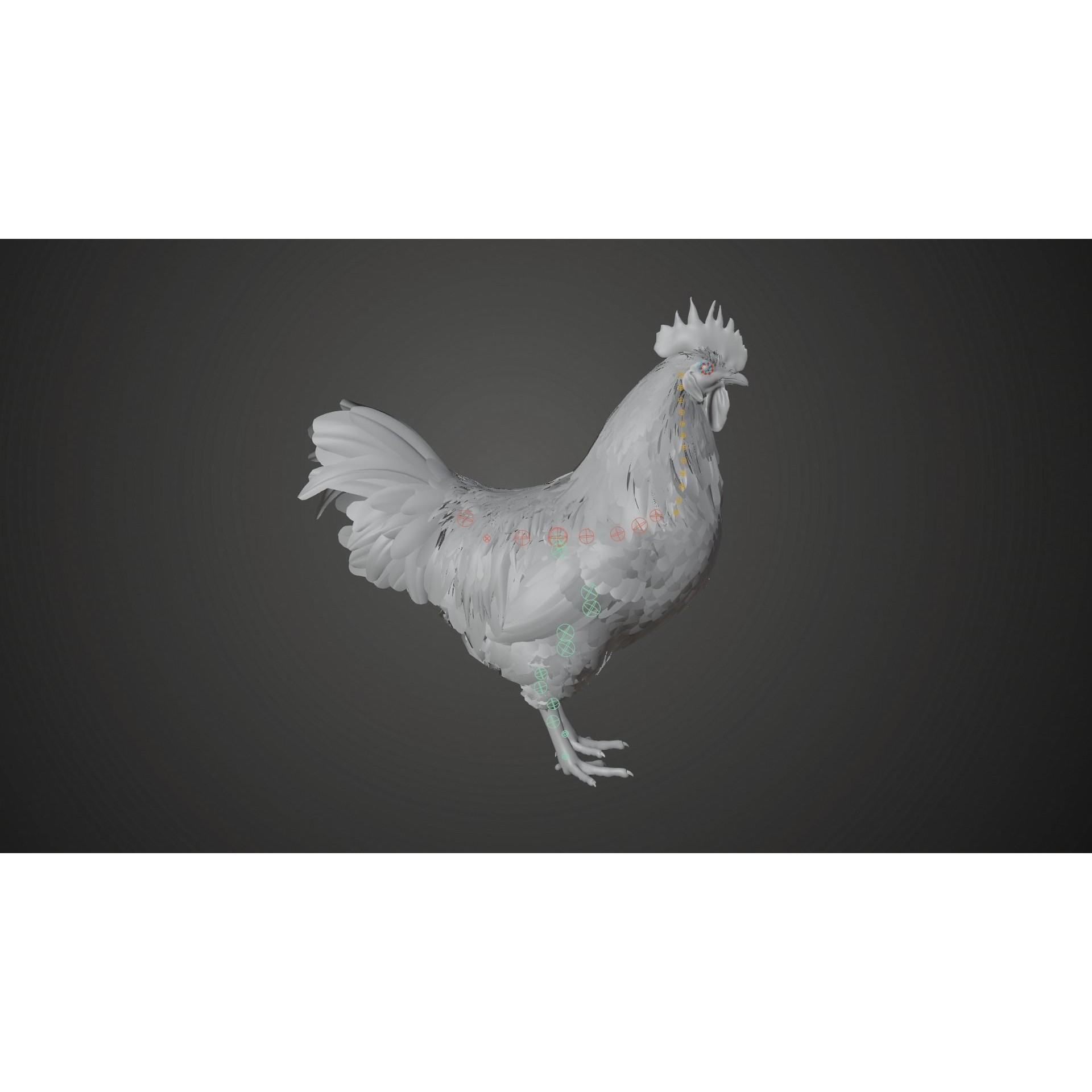 White Chicken 3D Model – Animated Rigged Bird Asset for Blender - View 19