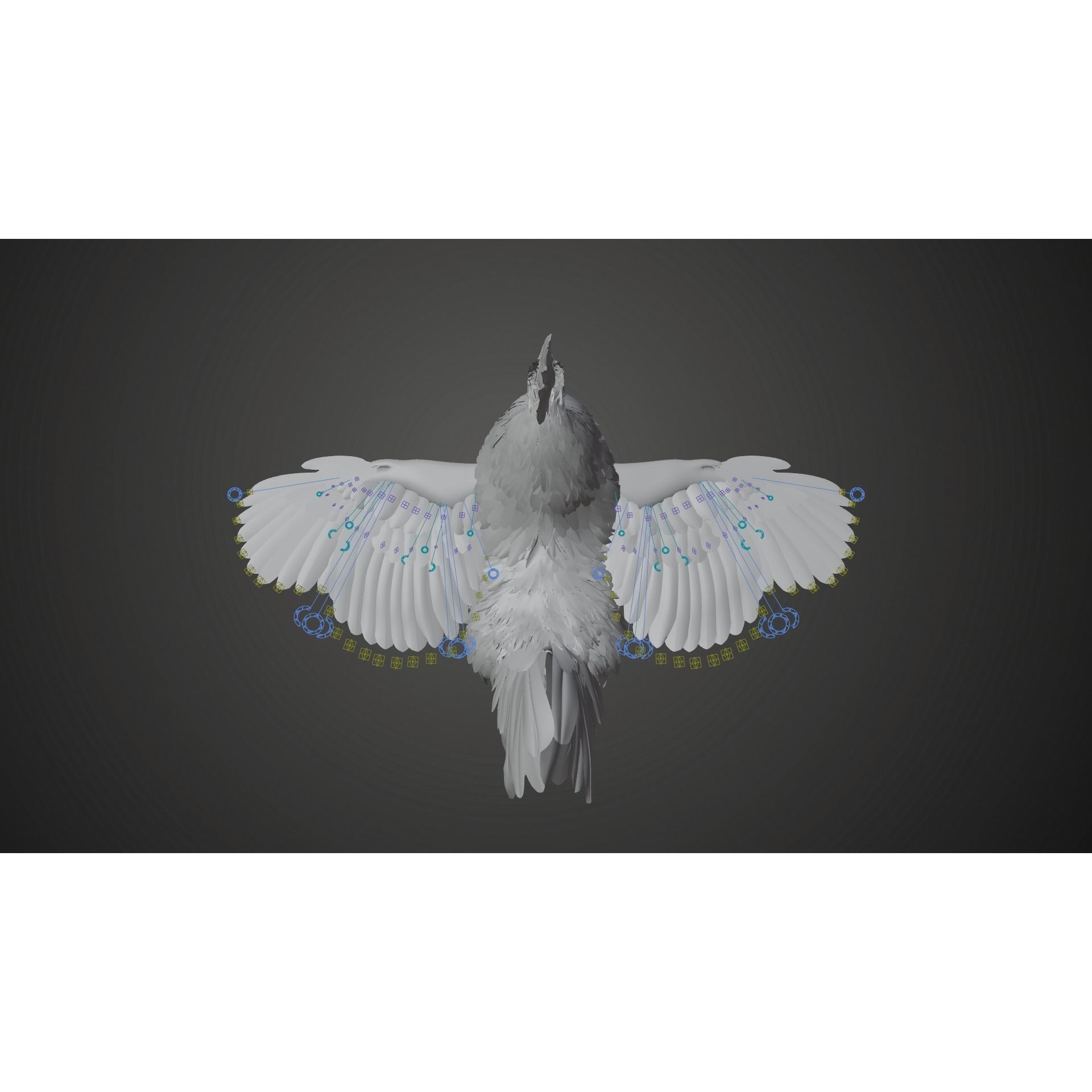 White Chicken 3D Model – Animated Rigged Bird Asset for Blender - View 26