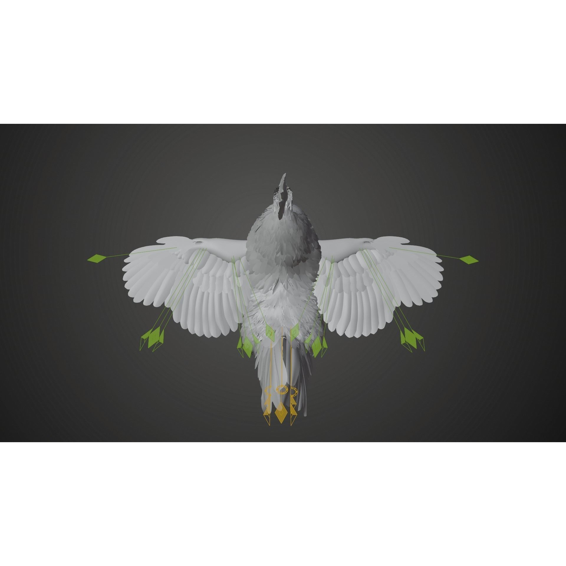 White Chicken 3D Model – Animated Rigged Bird Asset for Blender - View 27