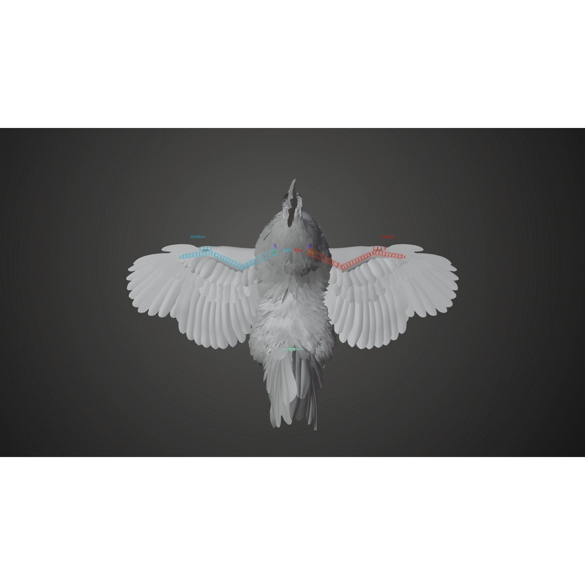 White Chicken 3D Model – Animated Rigged Bird Asset for Blender - View 30