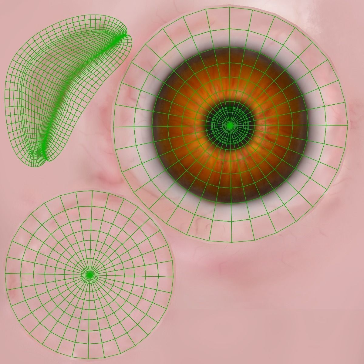 White Chicken 3D Model – Animated Rigged Bird Asset for Blender - View 35