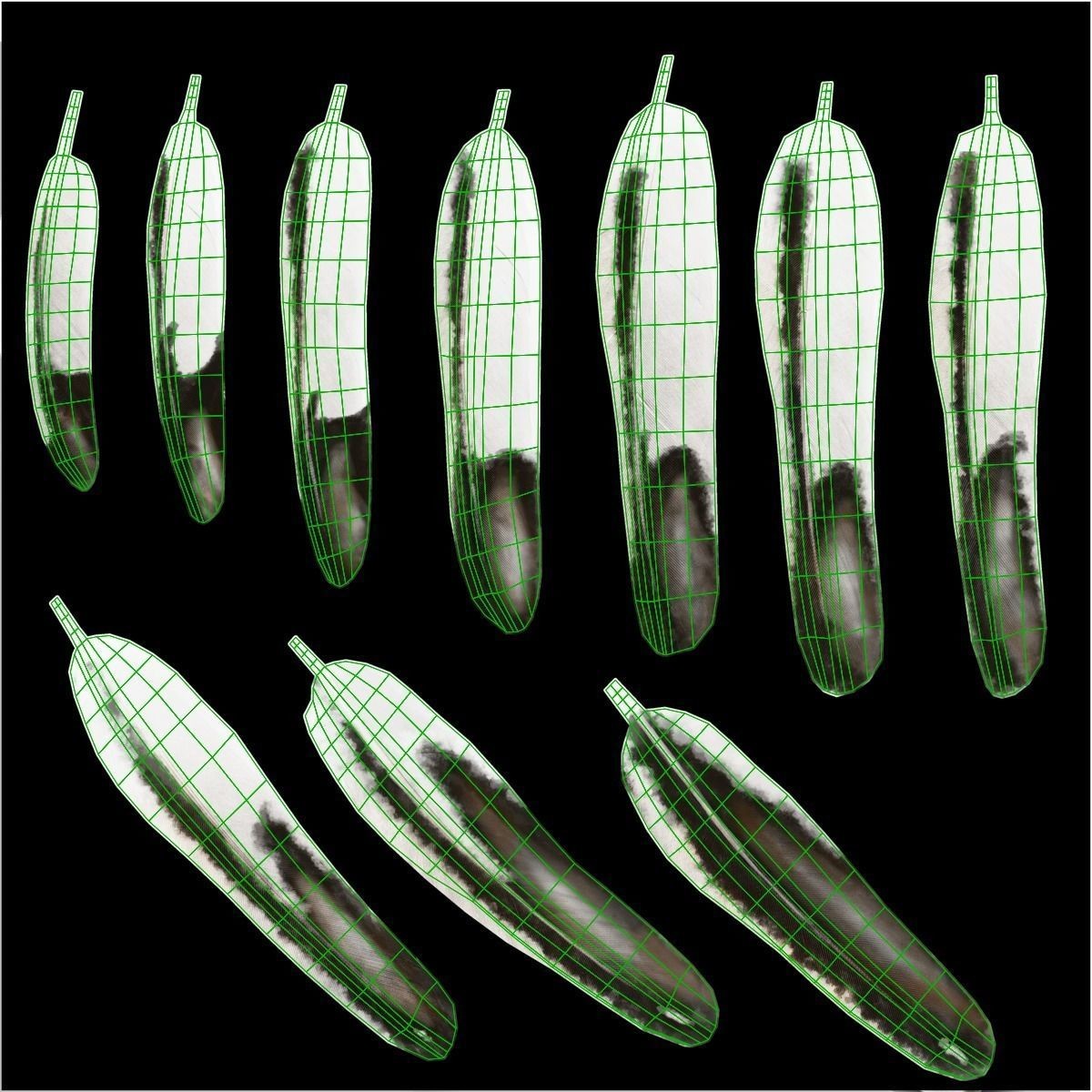 White Chicken 3D Model – Animated Rigged Bird Asset for Blender - View 43