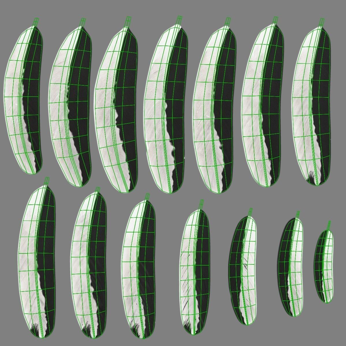 White Chicken 3D Model – Animated Rigged Bird Asset for Blender - View 47