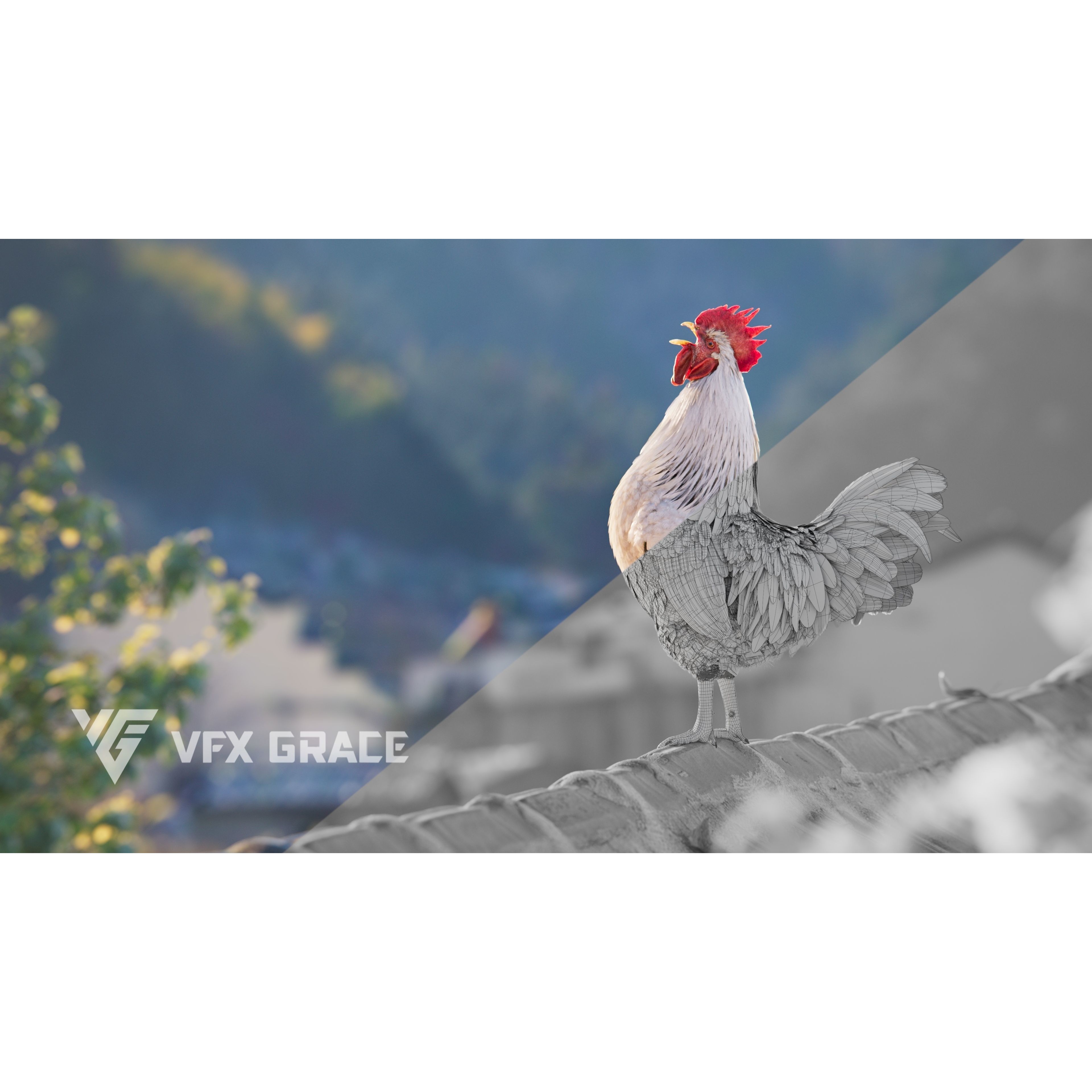 White Chicken 3D Model – Animated Rigged Bird Asset for Blender - View 5
