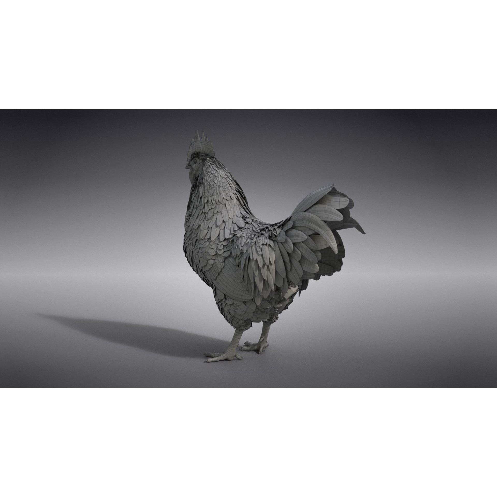 White Chicken 3D Model – Animated Rigged Bird Asset for Blender - View 50