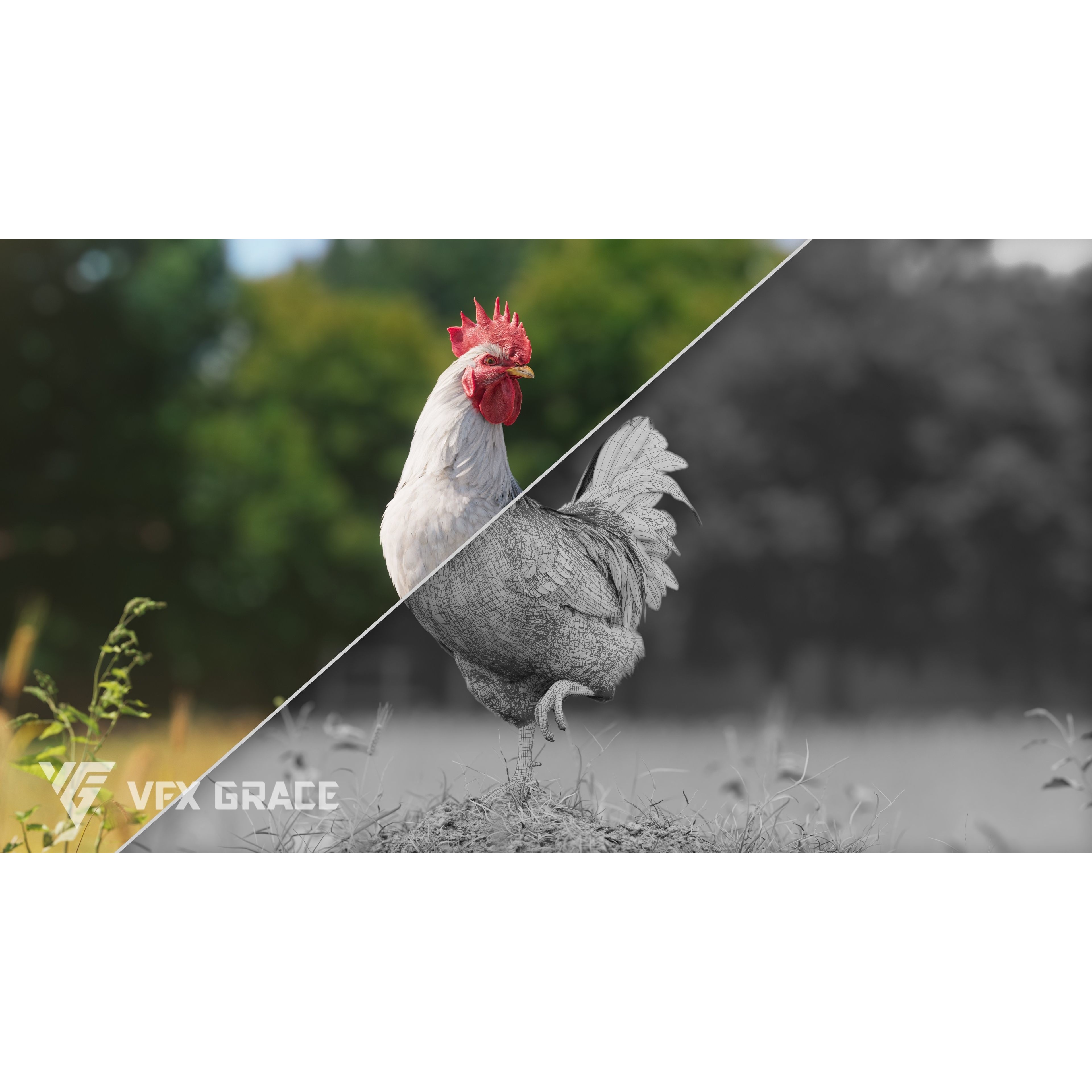 White Chicken 3D Model – Animated Rigged Bird Asset for Blender - View 7