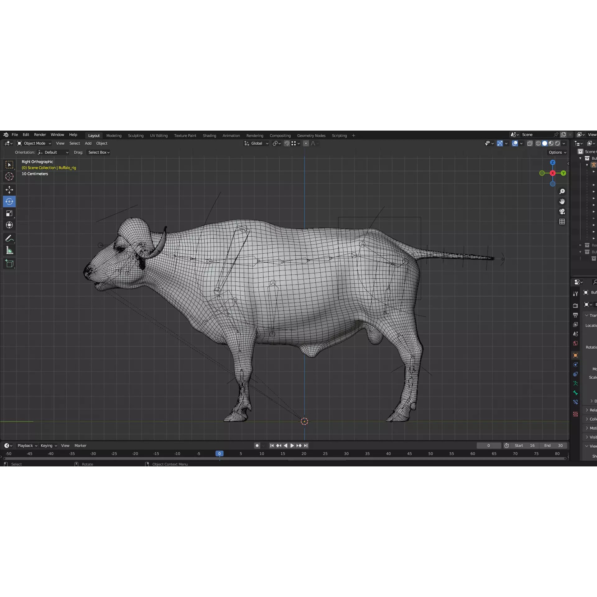 African Buffalo 3D Model – Animated Rigged PBR Asset, Blender & FBX - View 14