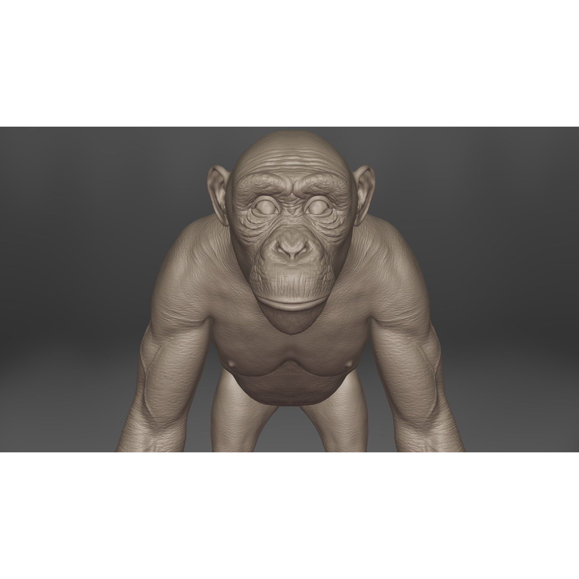 Chimpanzee 3D Model – Animated Rigged Character with Textures, Blender - View 14