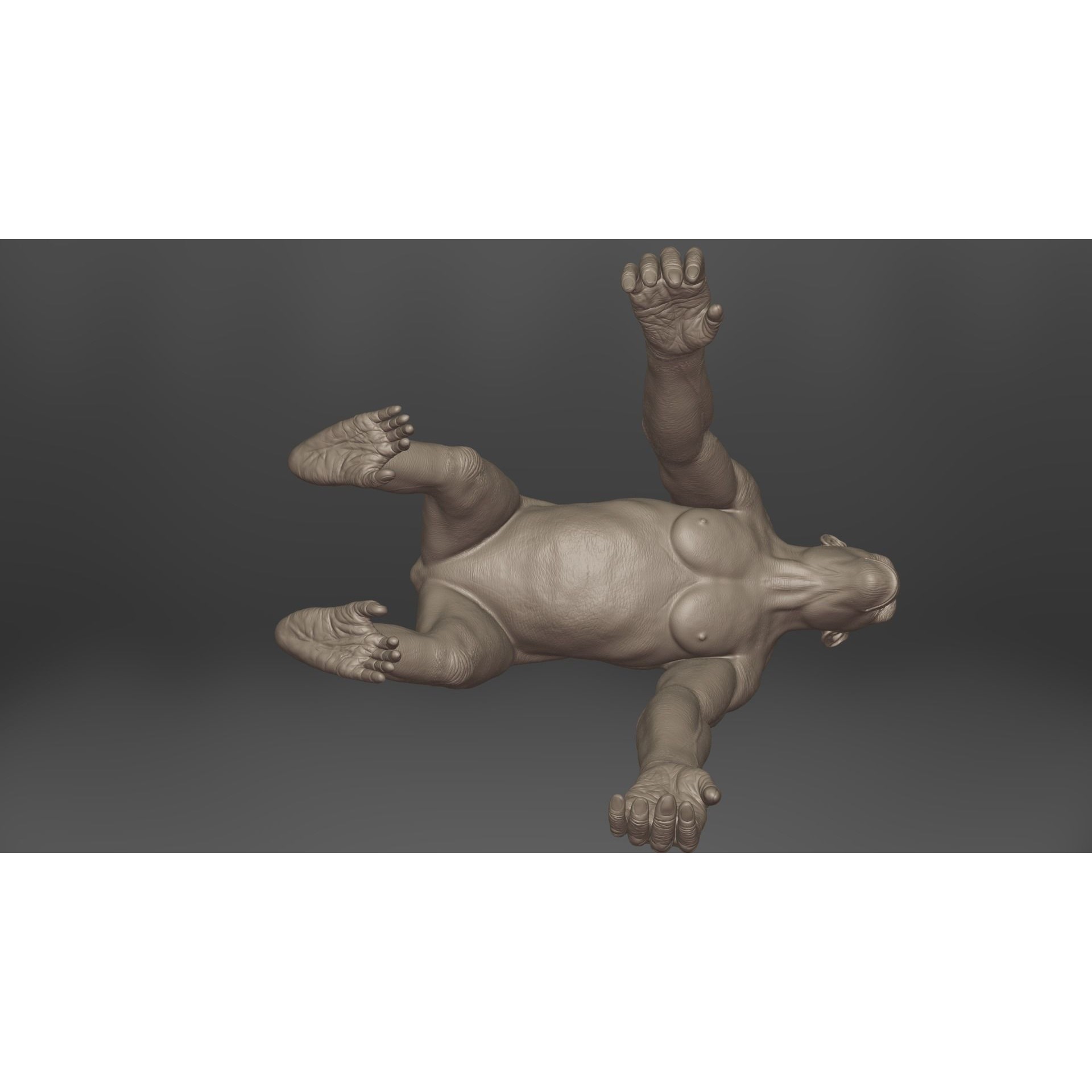 Chimpanzee 3D Model – Animated Rigged Character with Textures, Blender - View 15