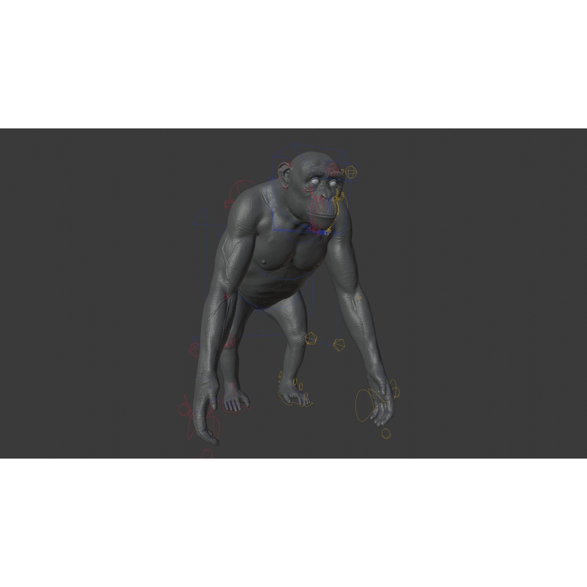 Chimpanzee 3D Model – Animated Rigged Character with Textures, Blender - View 17