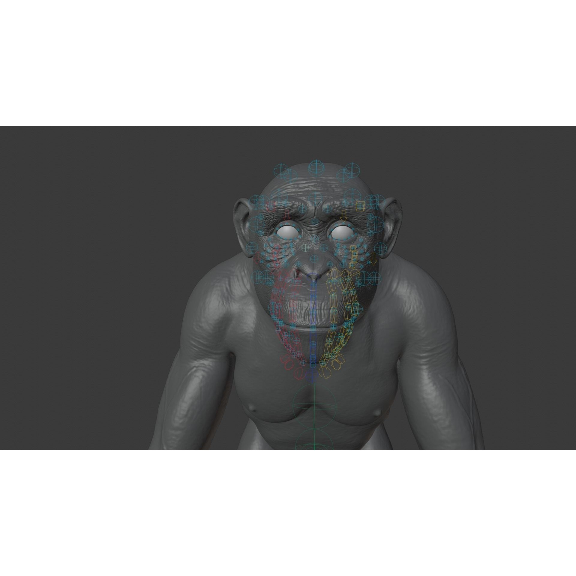 Chimpanzee 3D Model – Animated Rigged Character with Textures, Blender - View 18