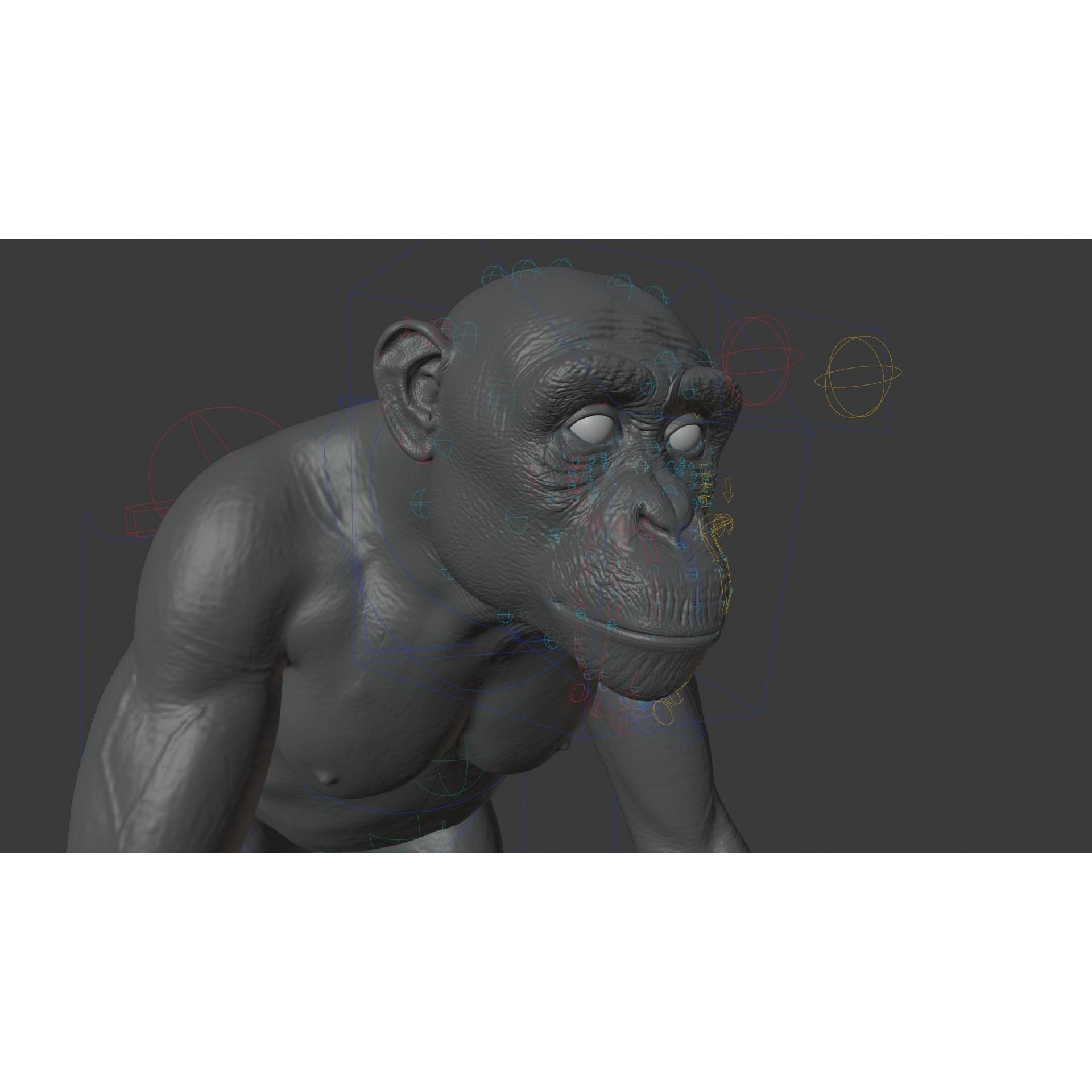 Chimpanzee 3D Model – Animated Rigged Character with Textures, Blender - View 19