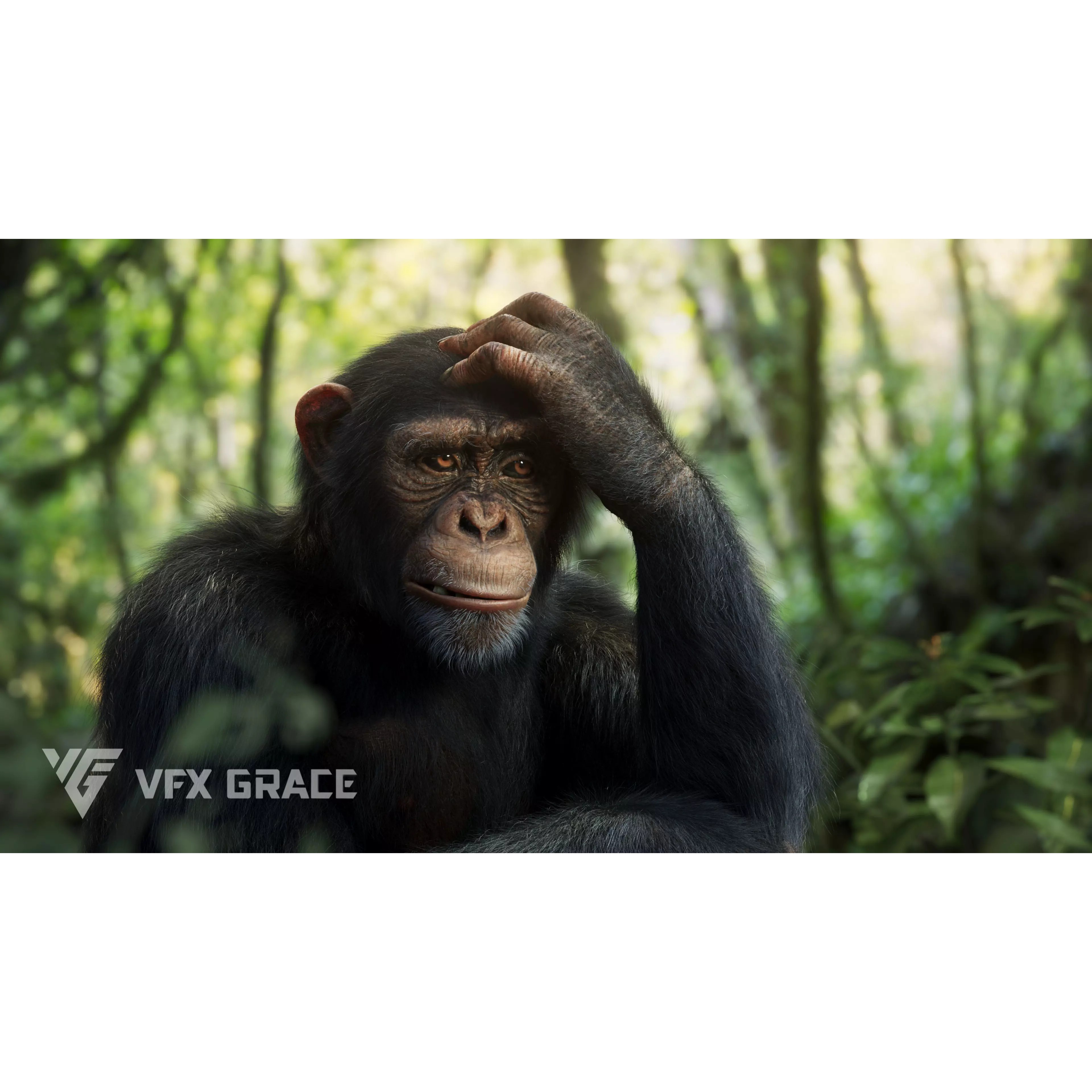 Chimpanzee 3D Model – Animated Rigged Character with Textures, Blender - View 2