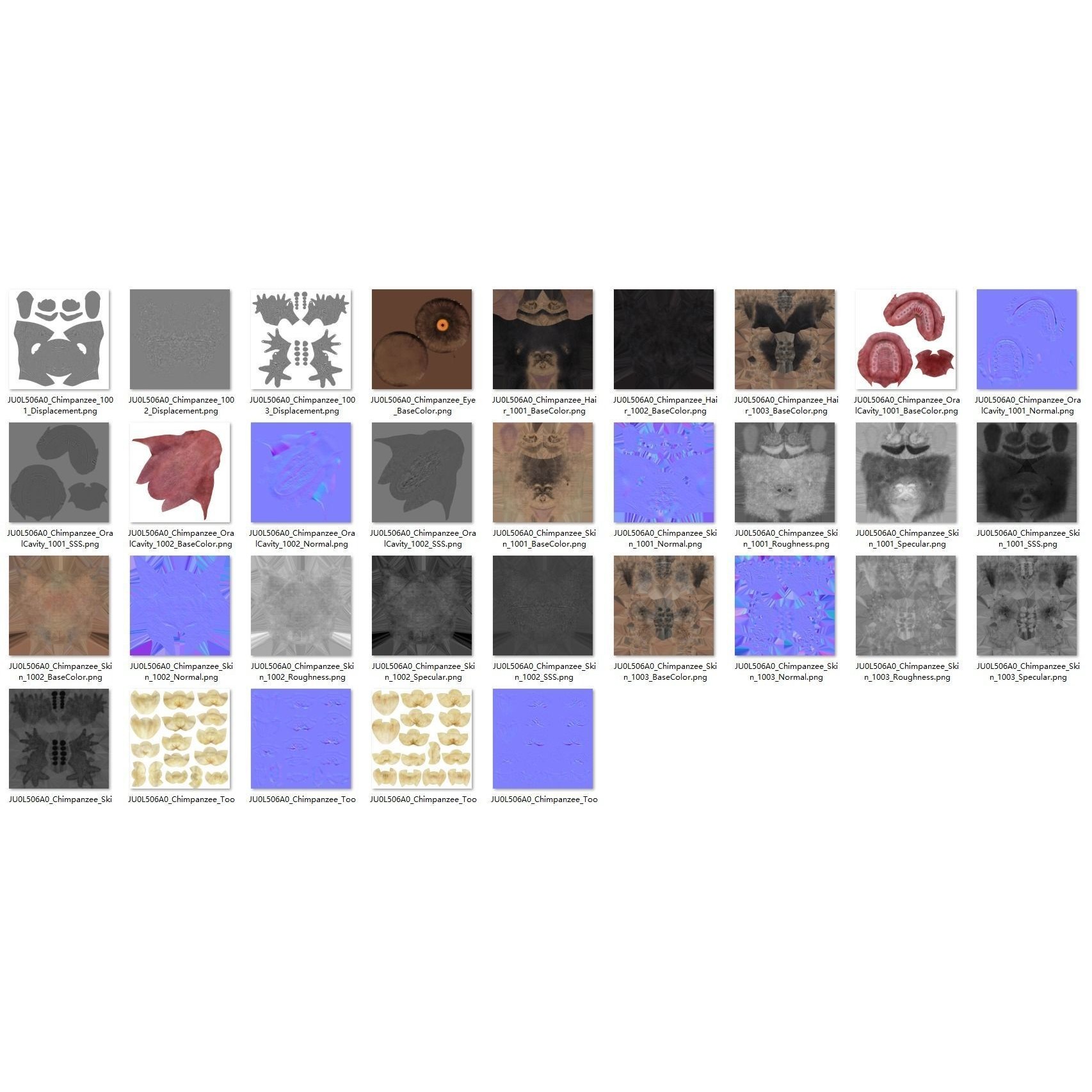 Chimpanzee 3D Model – Animated Rigged Character with Textures, Blender - View 20