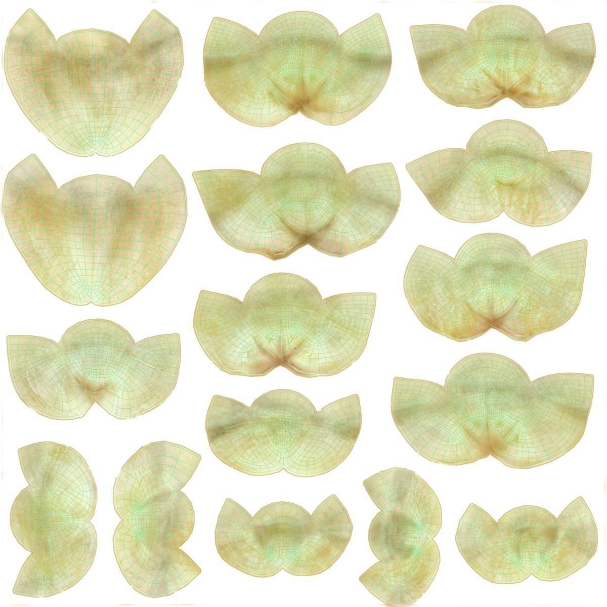 Chimpanzee 3D Model – Animated Rigged Character with Textures, Blender - View 21