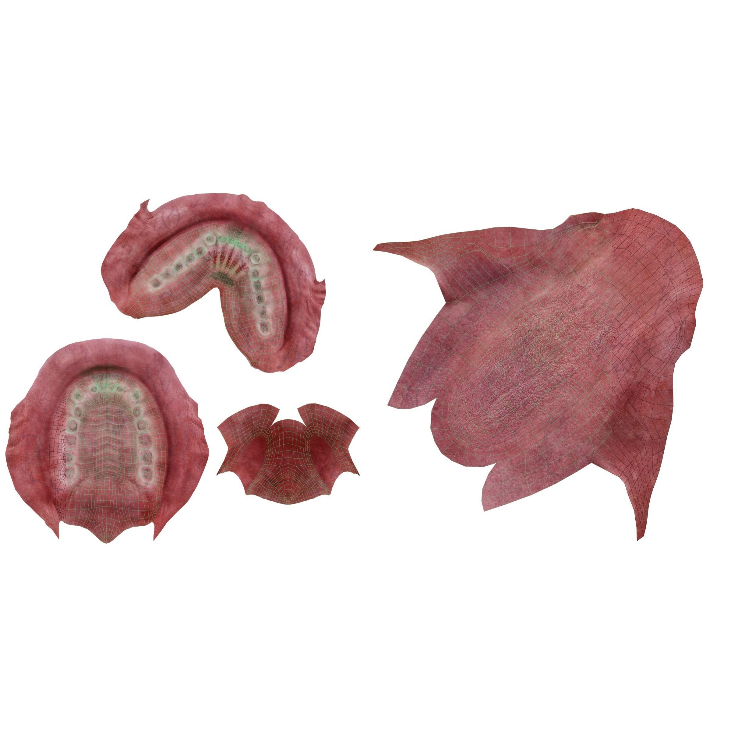 Chimpanzee 3D Model – Animated Rigged Character with Textures, Blender - View 22