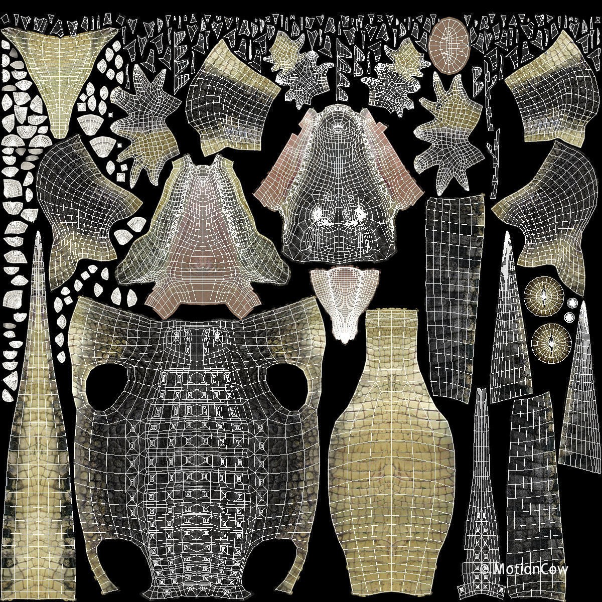 Alligator 3D Model – Rigged Reptile with Animations, FBX