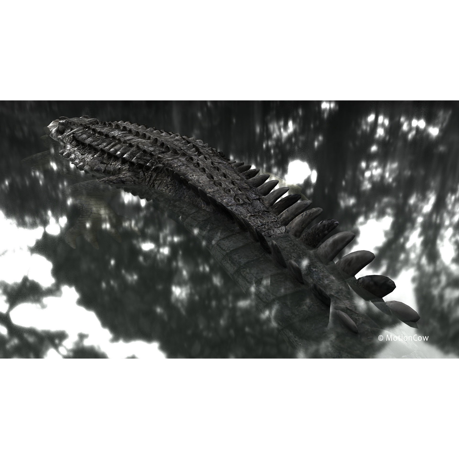 Alligator 3D Model – Rigged Reptile with Animations, FBX - View 16