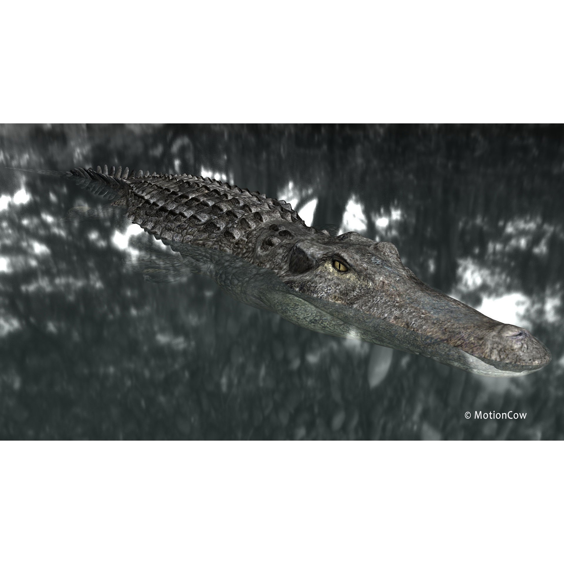 Alligator 3D Model – Rigged Reptile with Animations, FBX - View 17