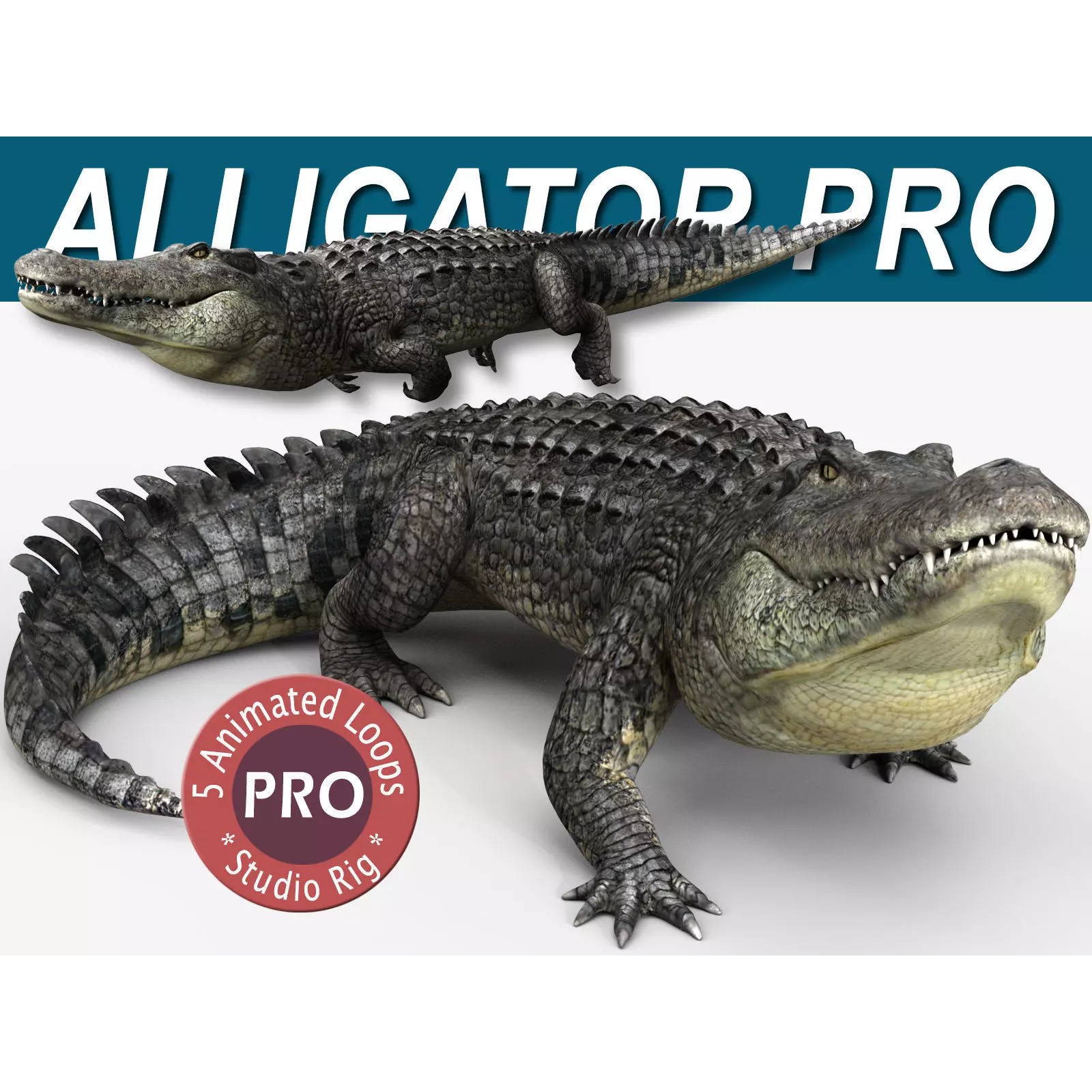 Alligator 3D Model – Rigged Reptile with Animations, FBX - View 2