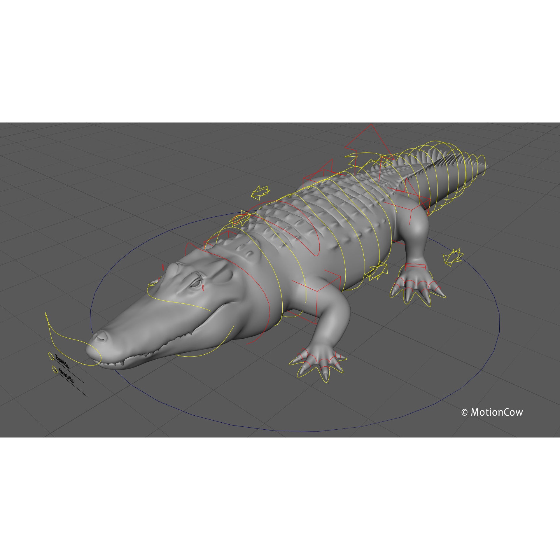 Alligator 3D Model – Rigged Reptile with Animations, FBX - View 29