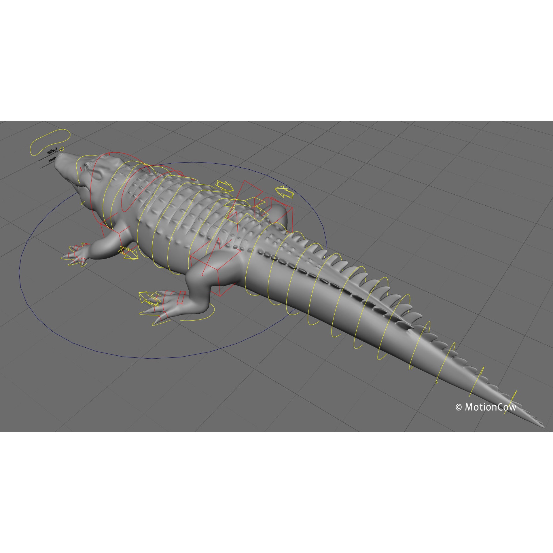 Alligator 3D Model – Rigged Reptile with Animations, FBX - View 30