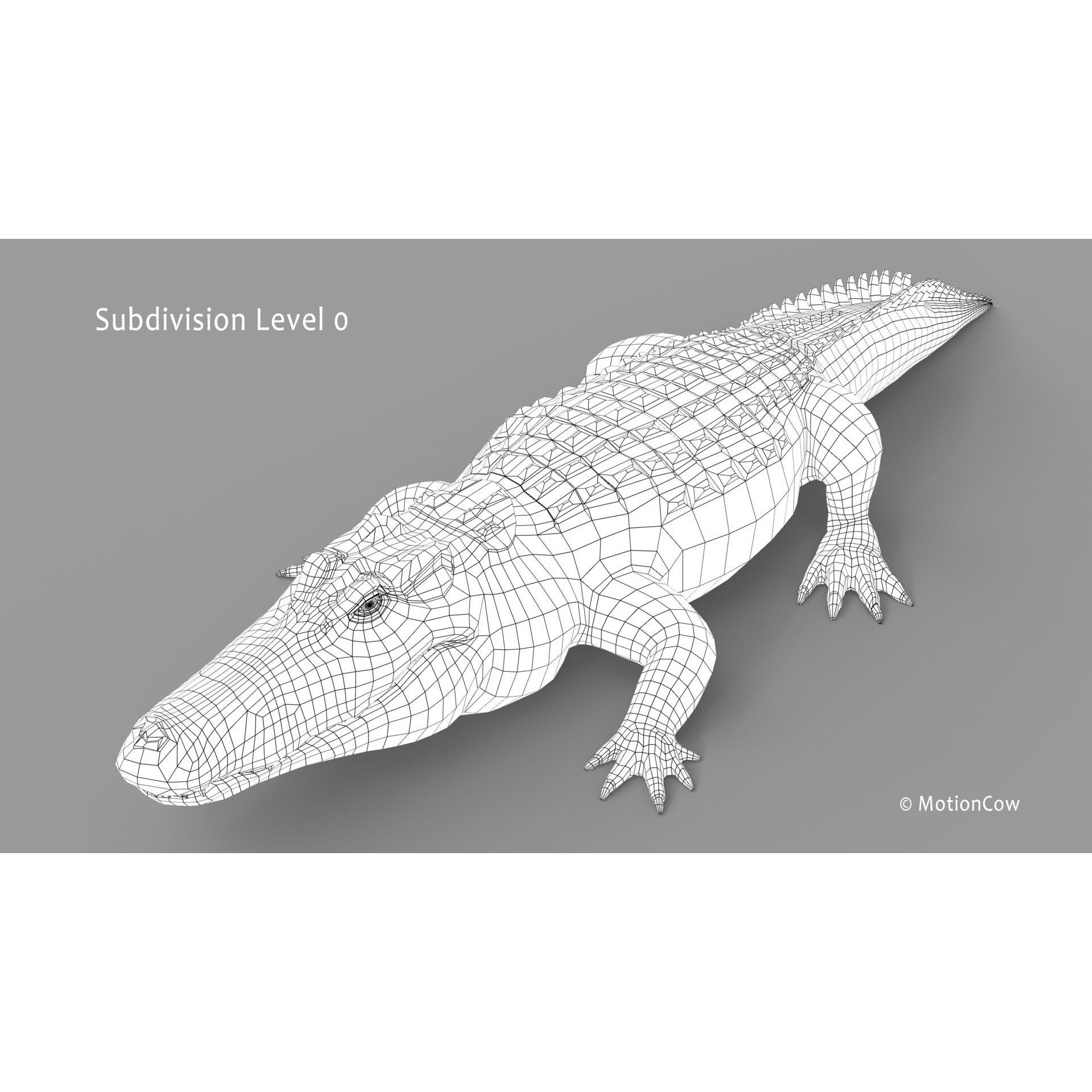 Alligator 3D Model – Rigged Reptile with Animations, FBX - View 31
