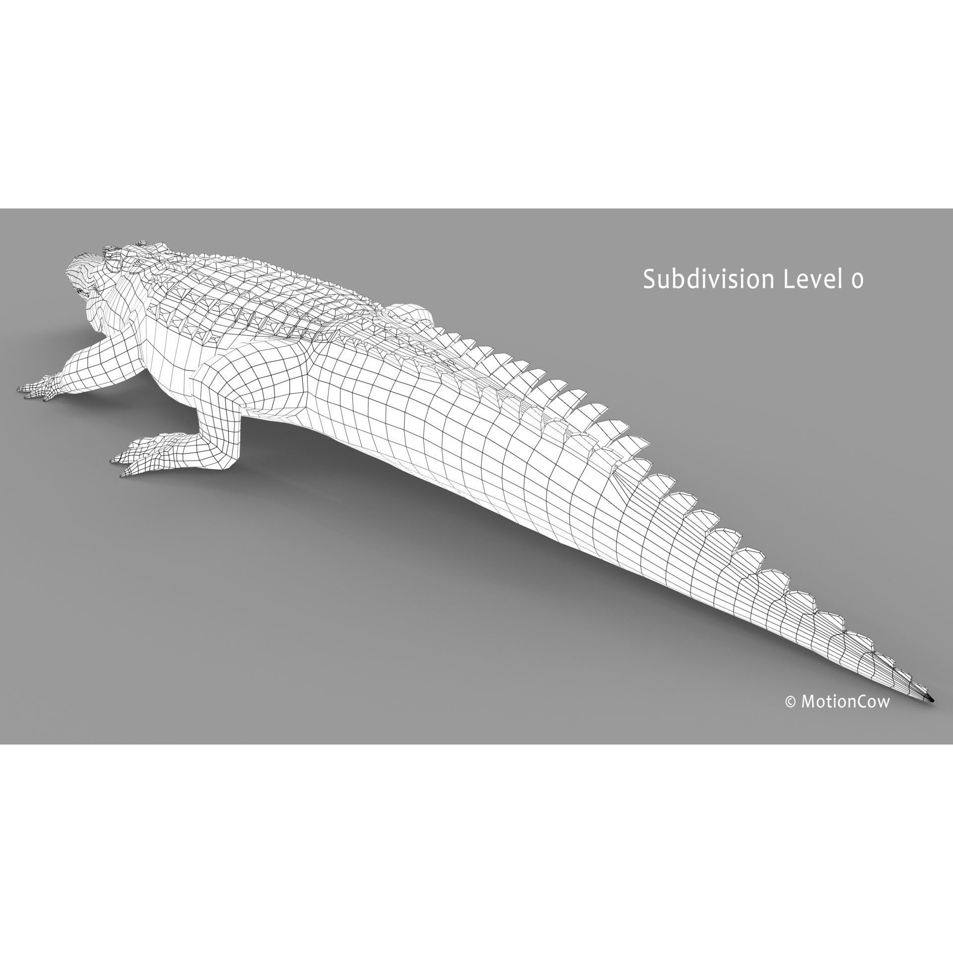 Alligator 3D Model – Rigged Reptile with Animations, FBX - View 33