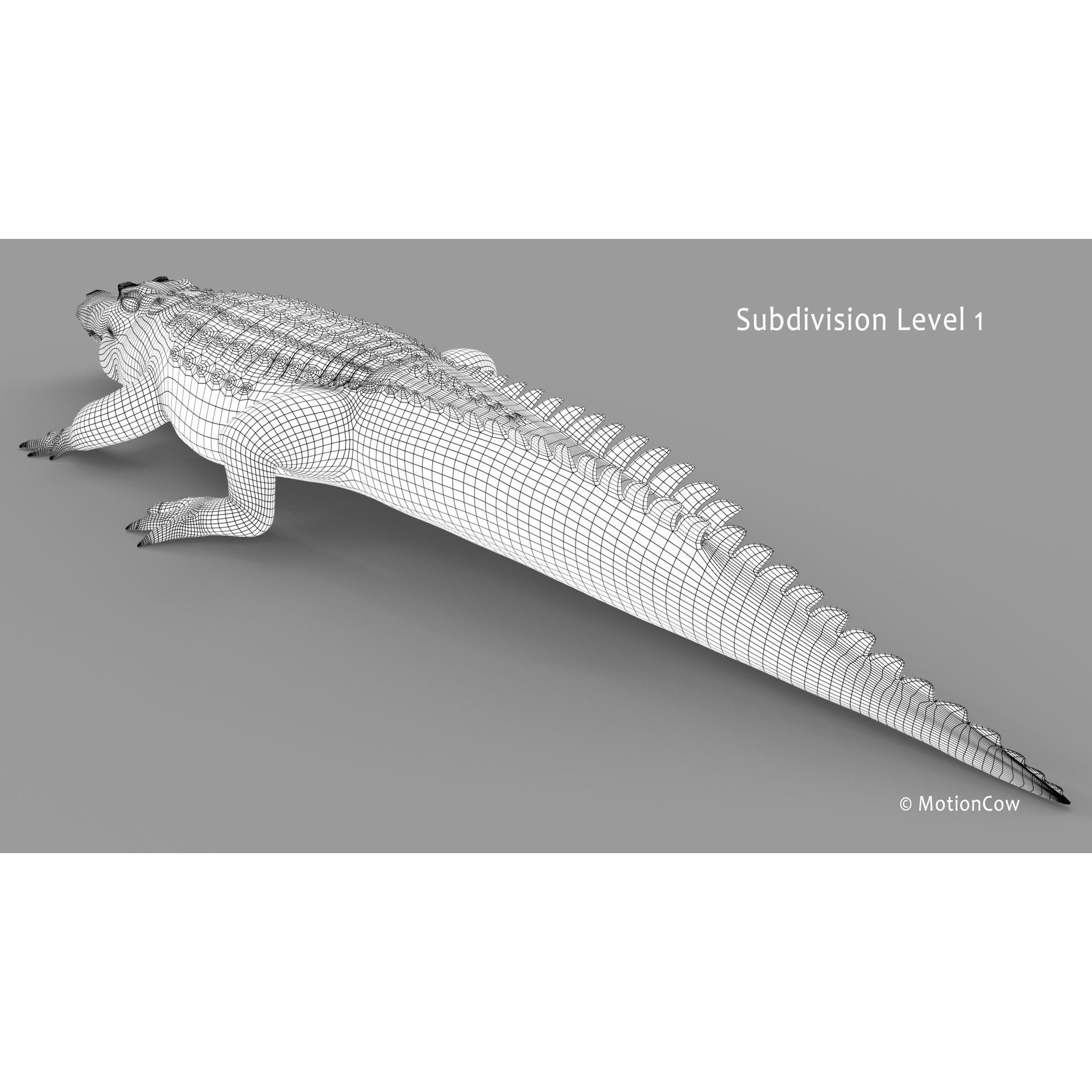 Alligator 3D Model – Rigged Reptile with Animations, FBX - View 34