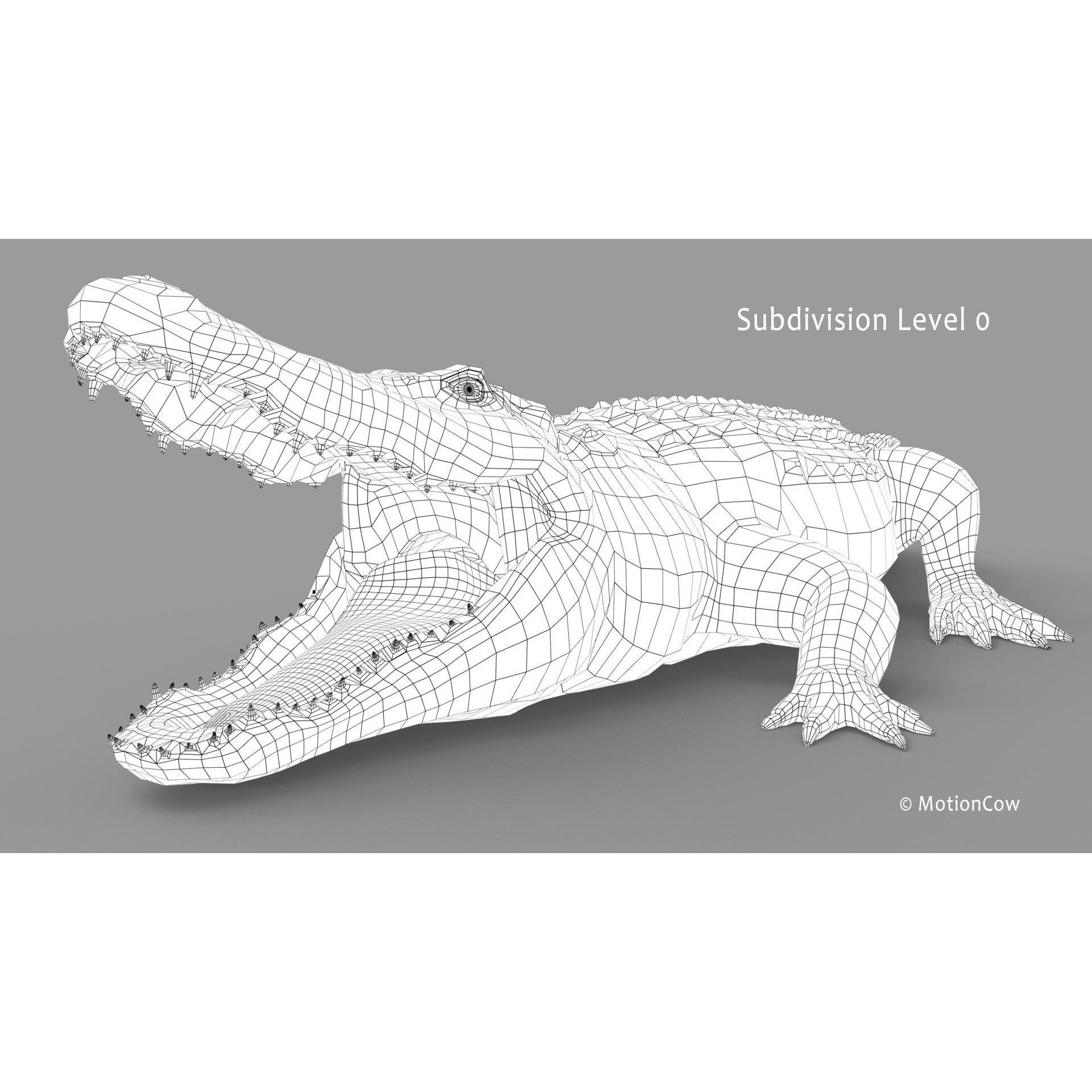 Alligator 3D Model – Rigged Reptile with Animations, FBX - View 35