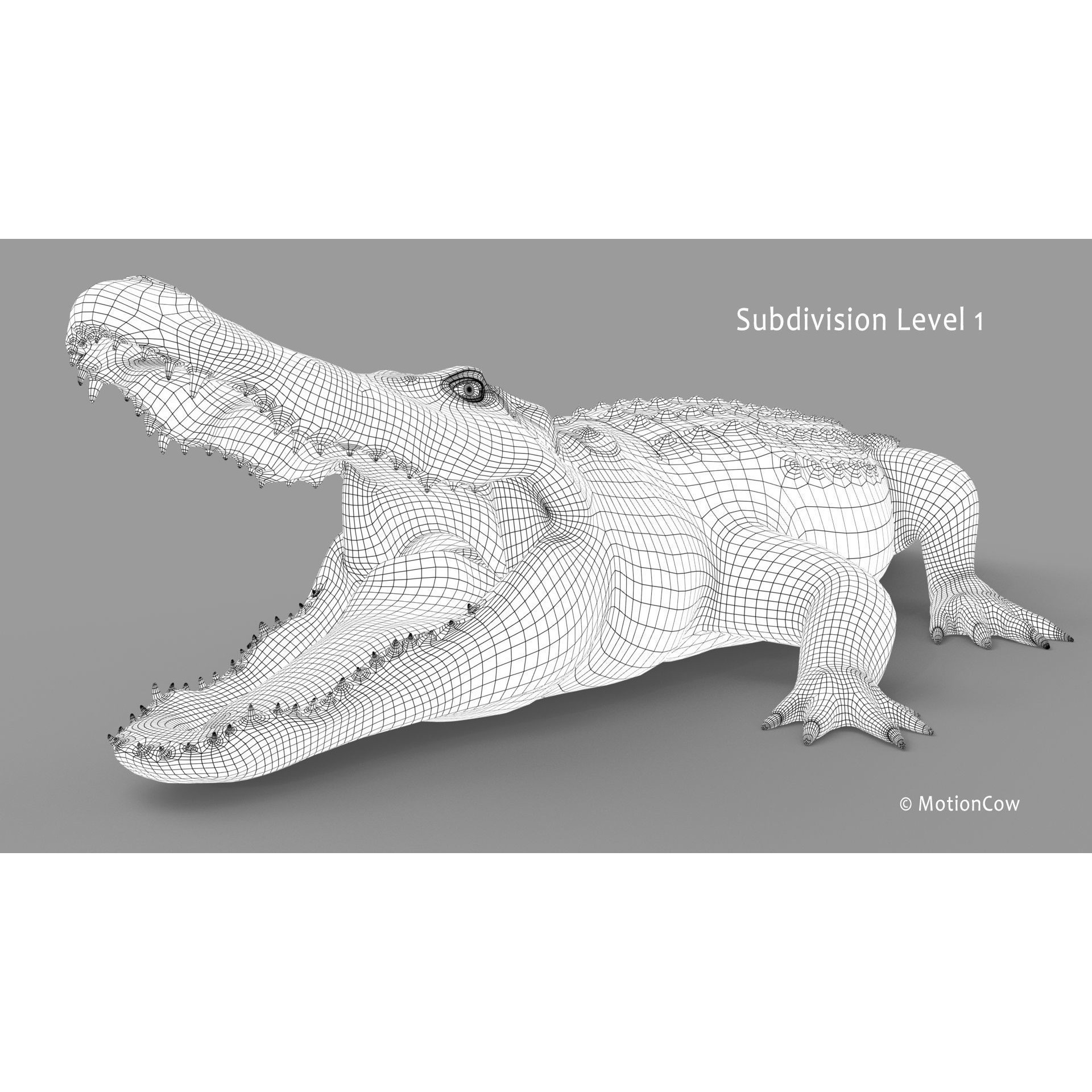 Alligator 3D Model – Rigged Reptile with Animations, FBX - View 36
