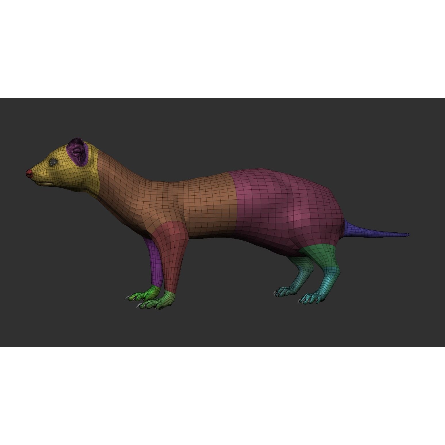 Ferret 3D Model – VFX Ready Animal Asset, FBX, PBR Textures - View 10
