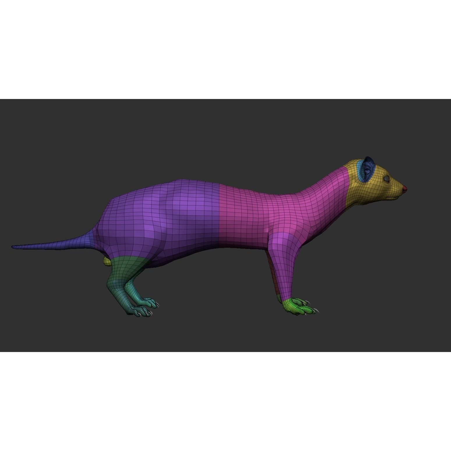 Ferret 3D Model – VFX Ready Animal Asset, FBX, PBR Textures - View 8