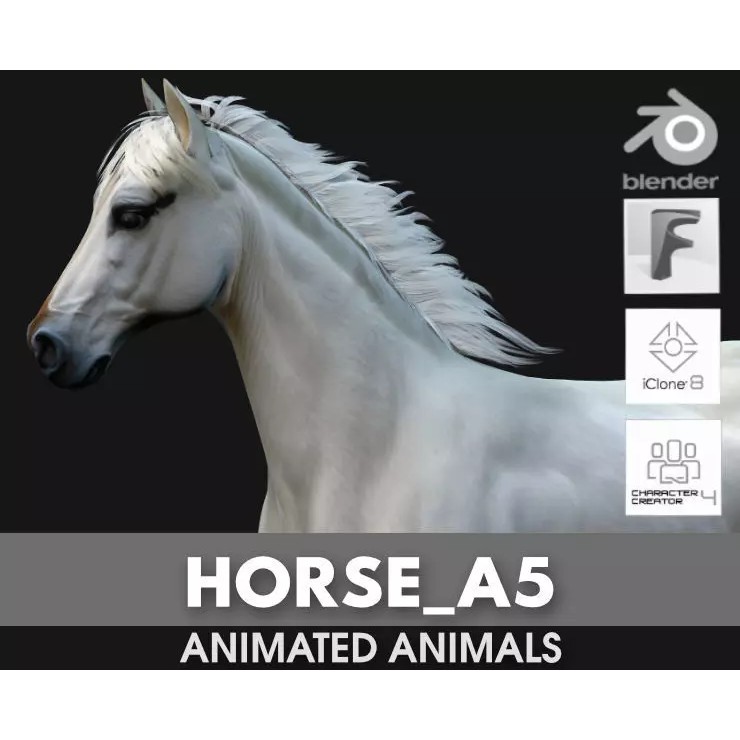 Horse 3D Model – Rigged Animal Animation with PBR Textures, FBX - View 2
